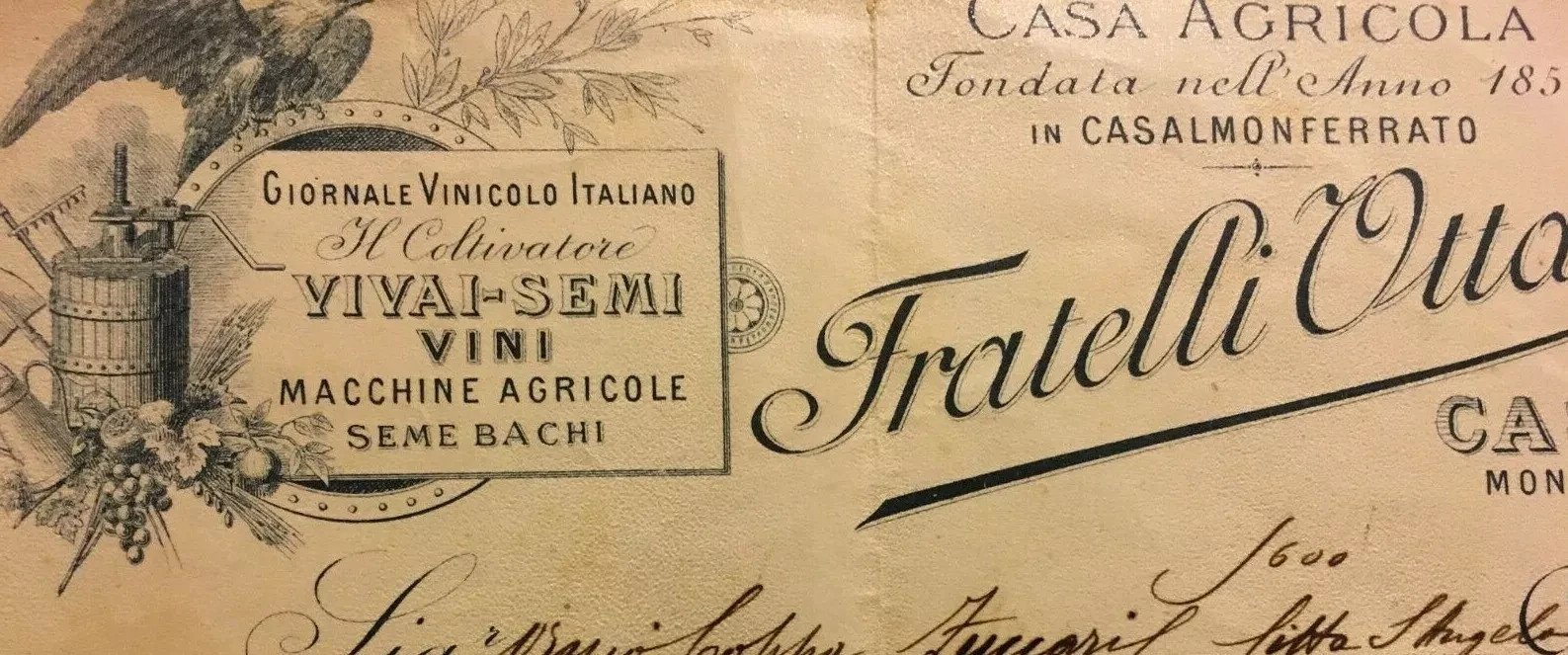 Agraria, Enologia, Vini, Botanica: Fratelli Ottavi Carta Intestata Pubblicitaria