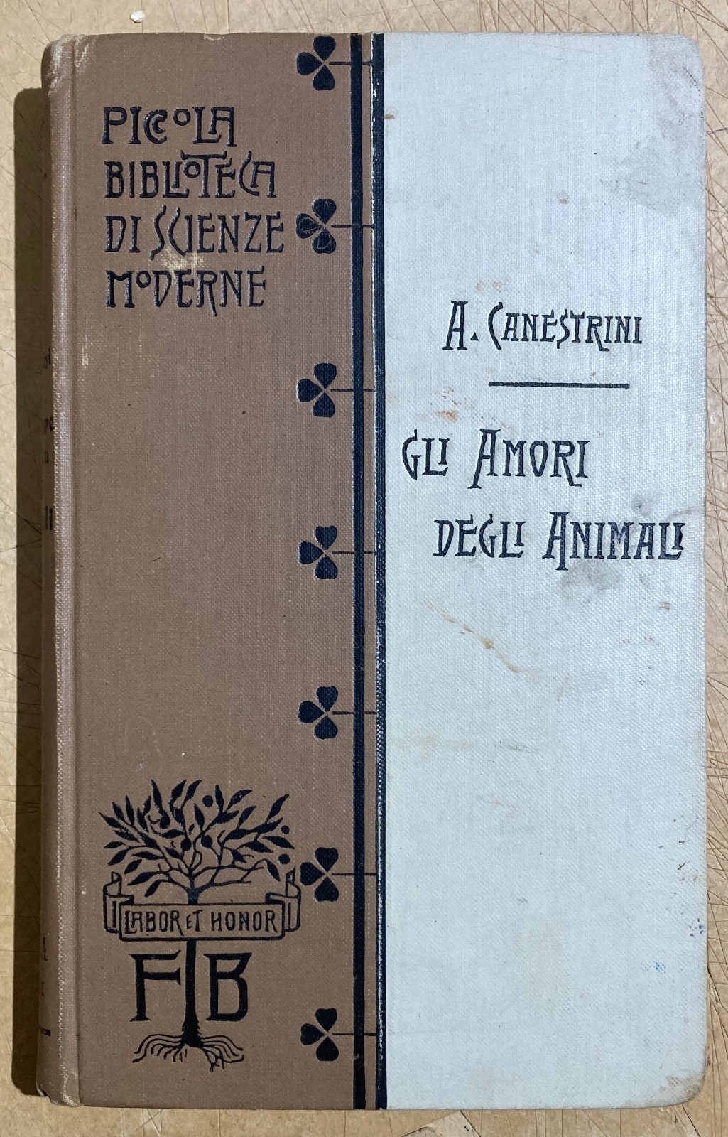 Zoologia. Gli Amori Degli Animali. Accoppiamenti E Corteggiamenti. Edizione Bocca, 1905.