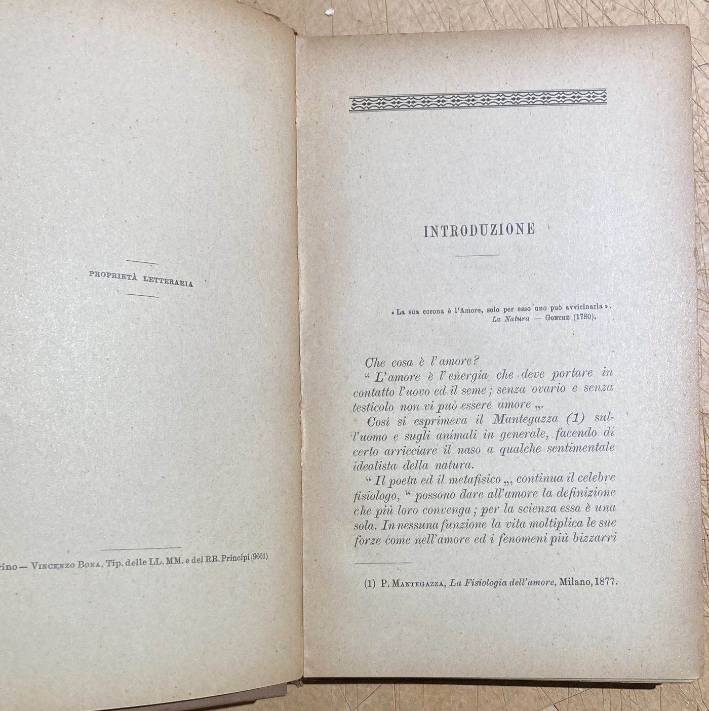 Zoologia. Gli Amori Degli Animali. Accoppiamenti E Corteggiamenti. Edizione Bocca, 1905.