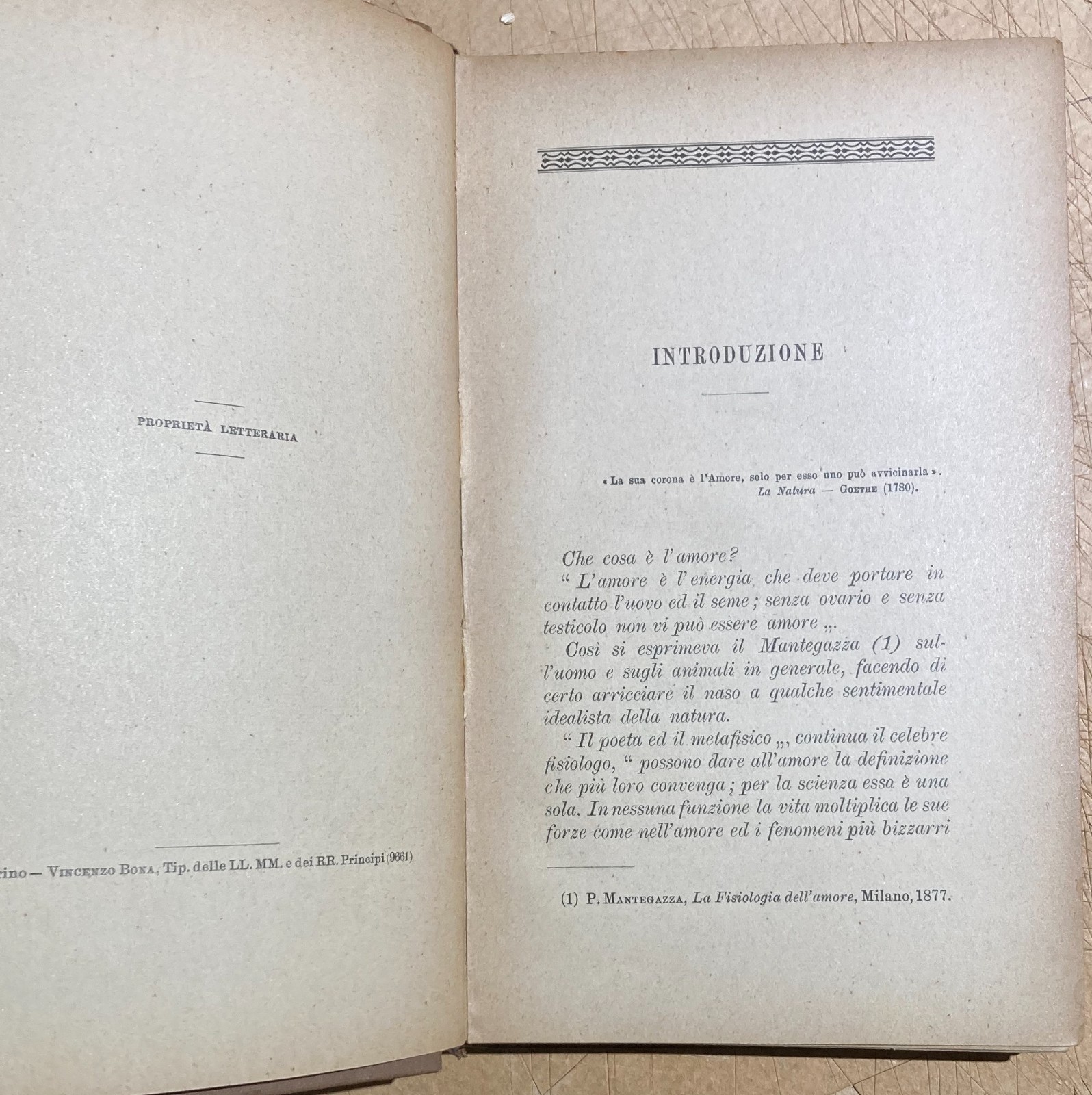 Zoologia. Gli Amori Degli Animali. Accoppiamenti E Corteggiamenti. Edizione Bocca, 1905.