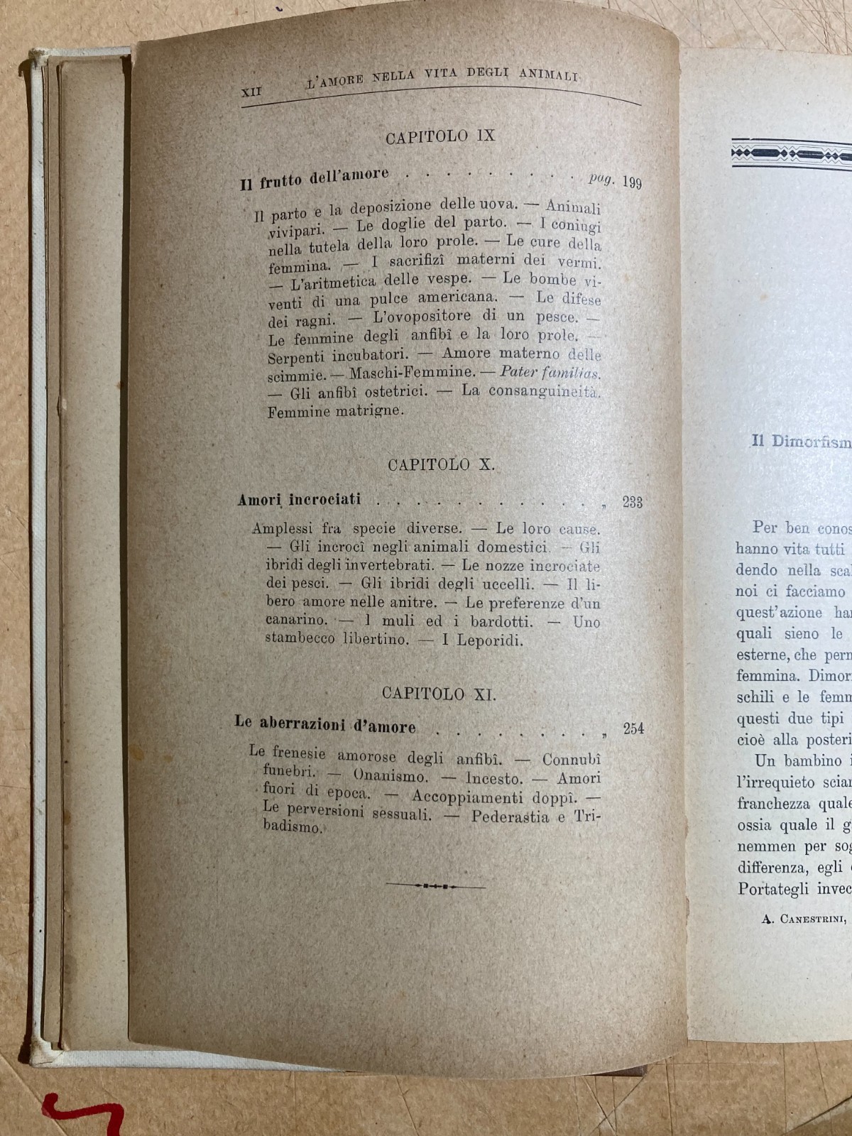 Zoologia. Gli Amori Degli Animali. Accoppiamenti E Corteggiamenti. Edizione Bocca, 1905.