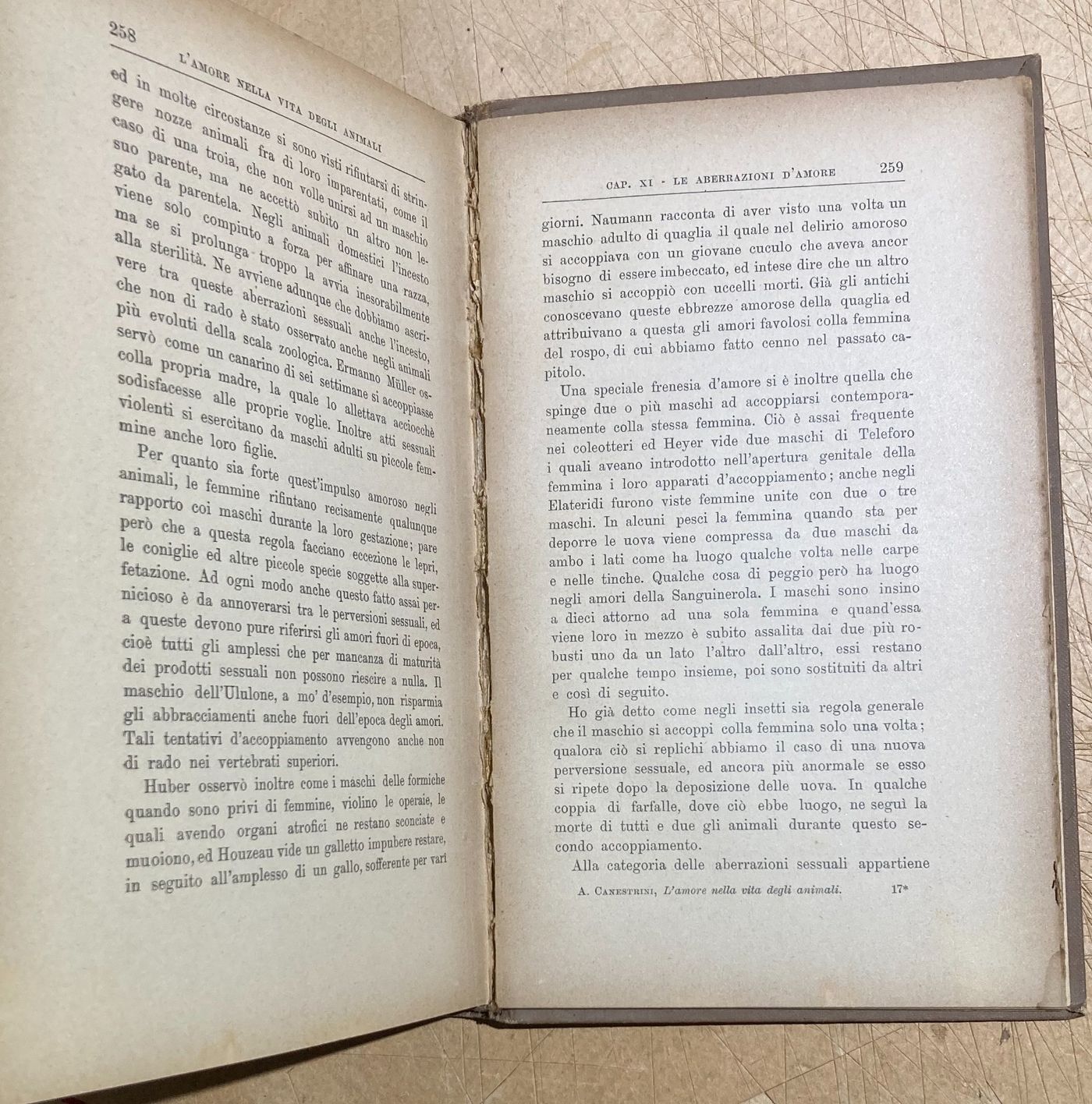 Zoologia. Gli Amori Degli Animali. Accoppiamenti E Corteggiamenti. Edizione Bocca, 1905.