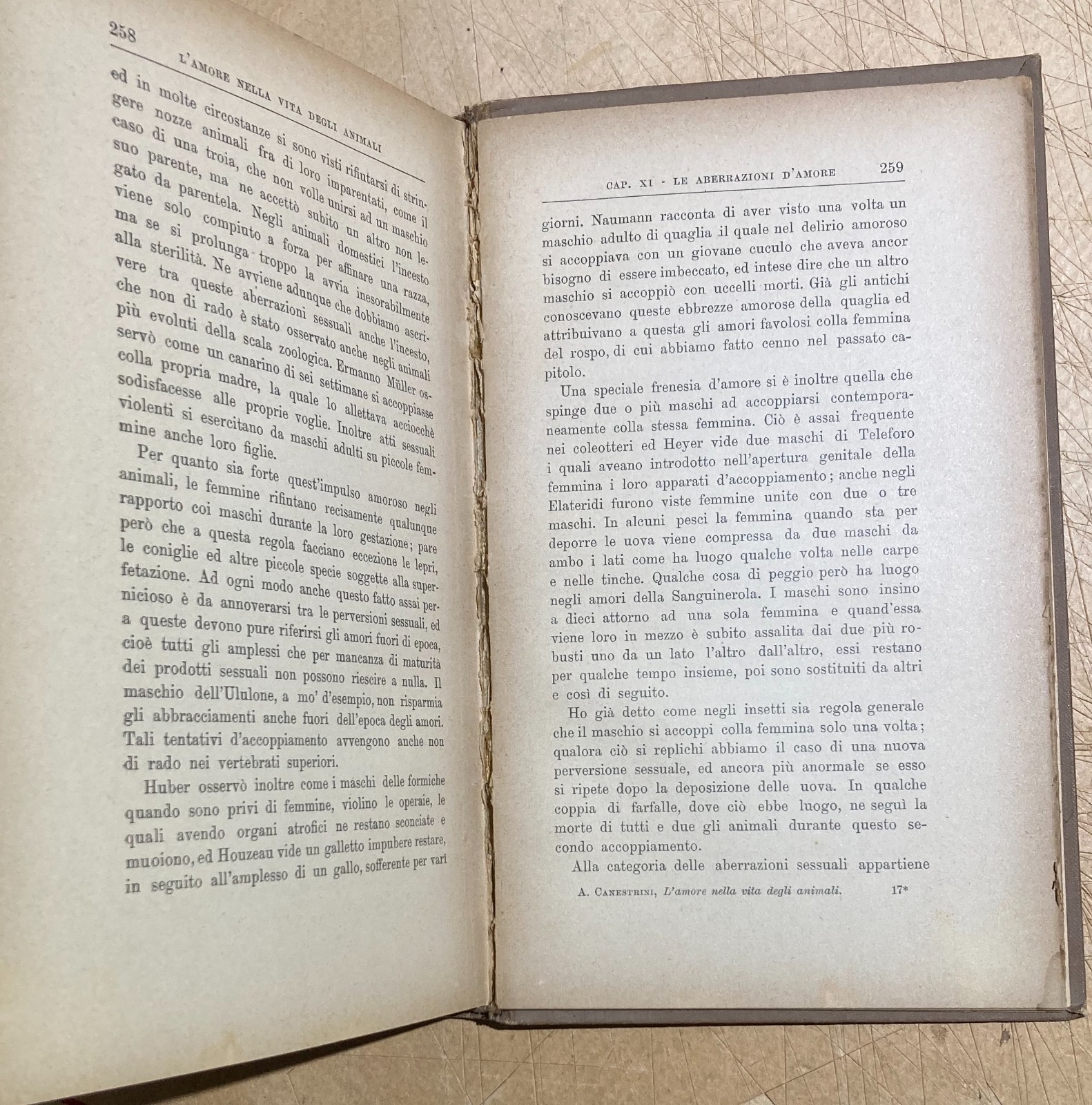 Zoologia. Gli Amori Degli Animali. Accoppiamenti E Corteggiamenti. Edizione Bocca, 1905.