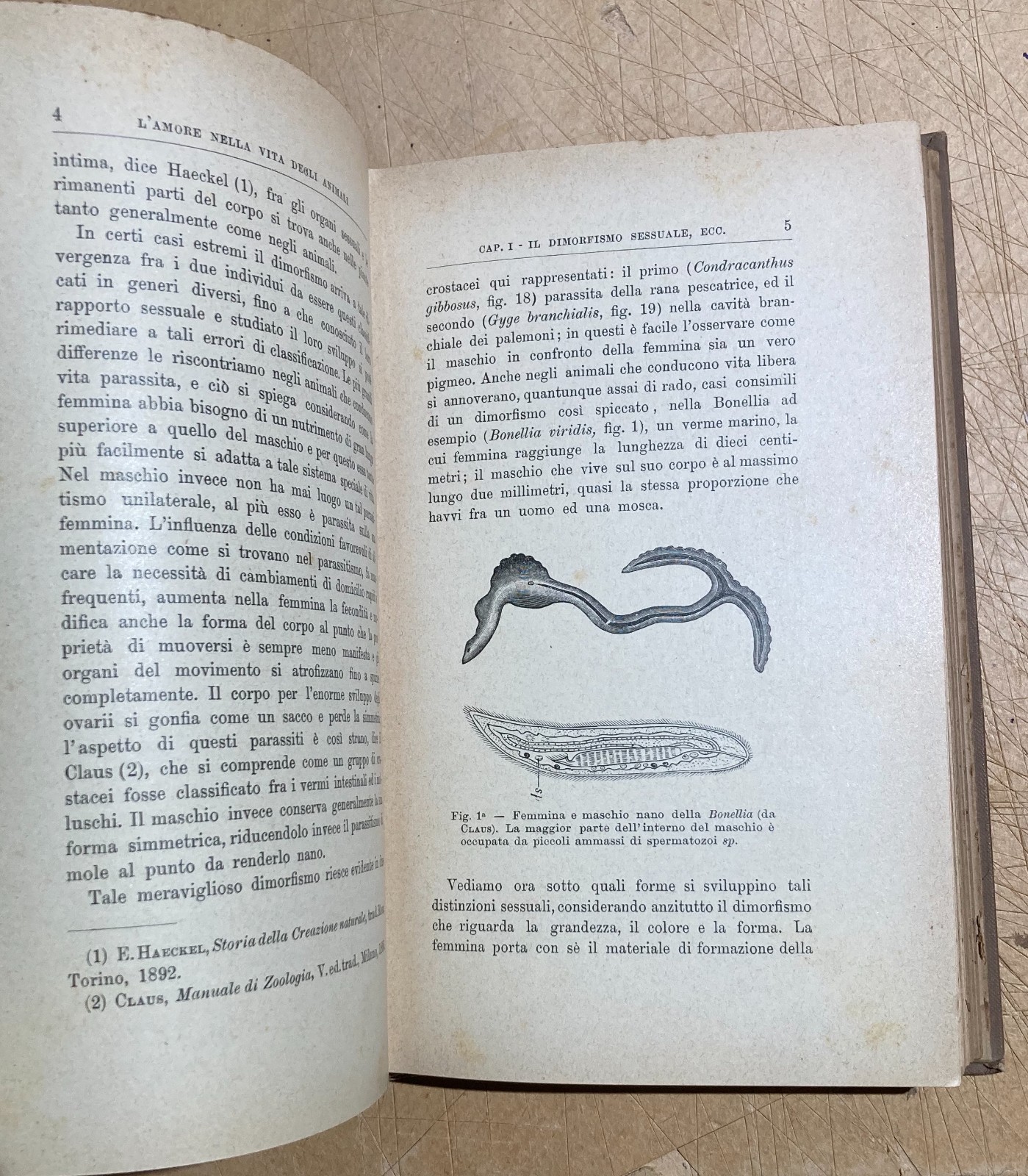 Zoologia. Gli Amori Degli Animali. Accoppiamenti E Corteggiamenti. Edizione Bocca, 1905.