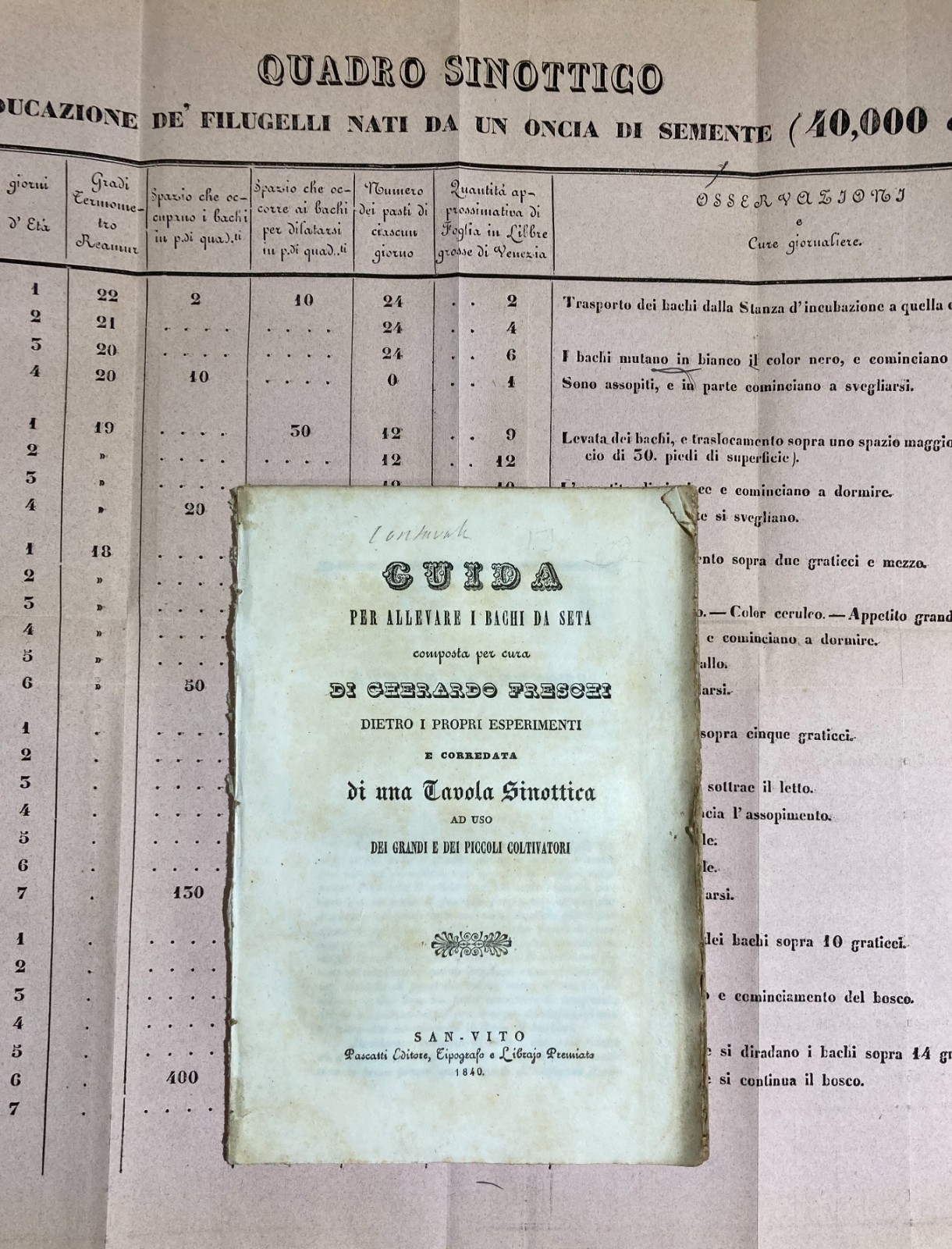 Bachi Da Seta, Allevamento, San Vito, Ramuscello, Freschi. Antica Edizione, 1840, Rara