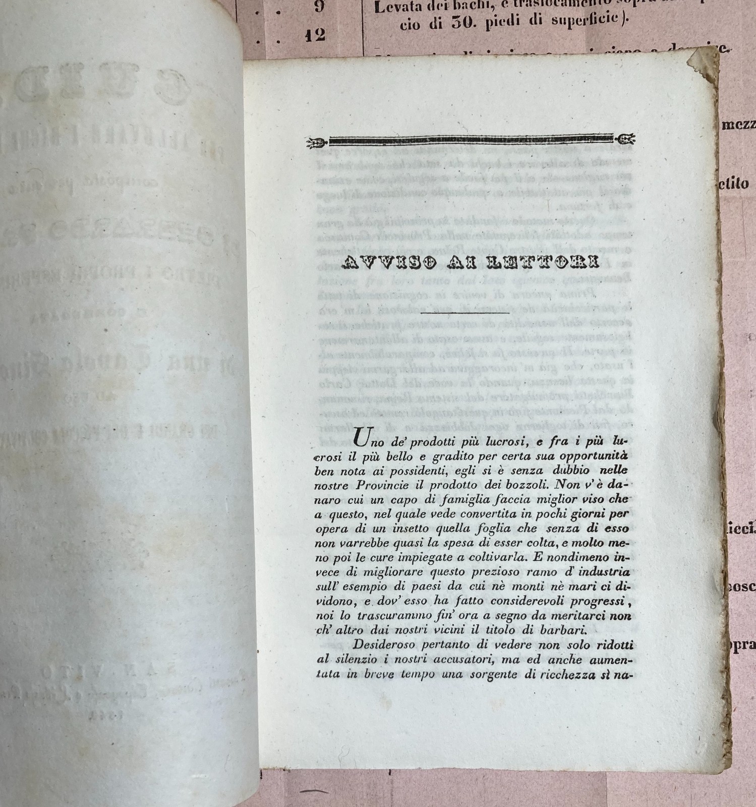 Bachi Da Seta, Allevamento, San Vito, Ramuscello, Freschi. Antica Edizione, 1840, Rara
