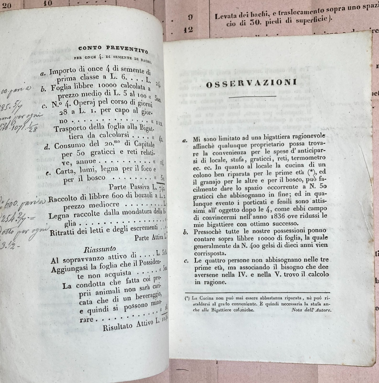 Bachi Da Seta, Allevamento, San Vito, Ramuscello, Freschi. Antica Edizione, 1840, Rara