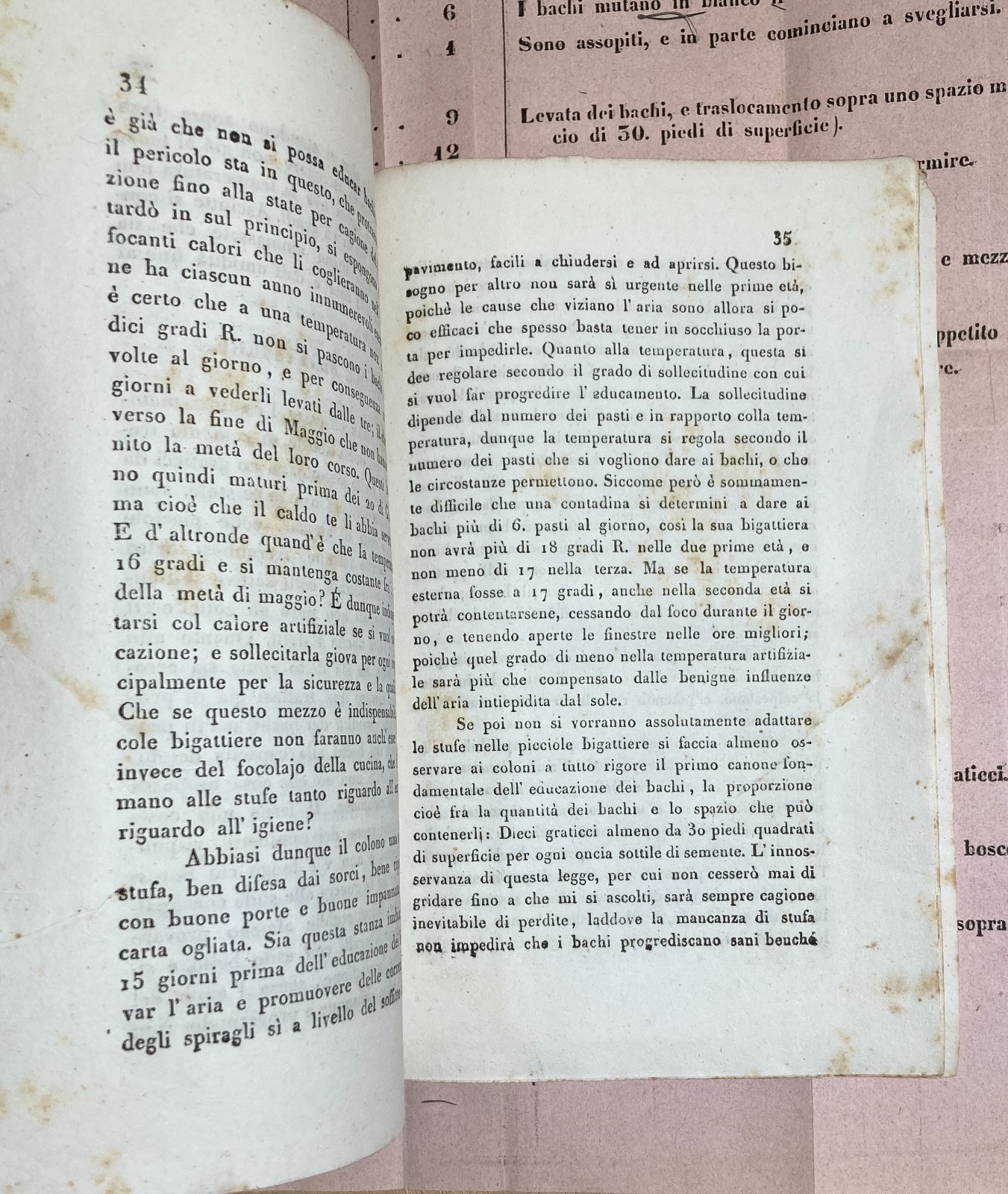 Bachi Da Seta, Allevamento, San Vito, Ramuscello, Freschi. Antica Edizione, 1840, Rara