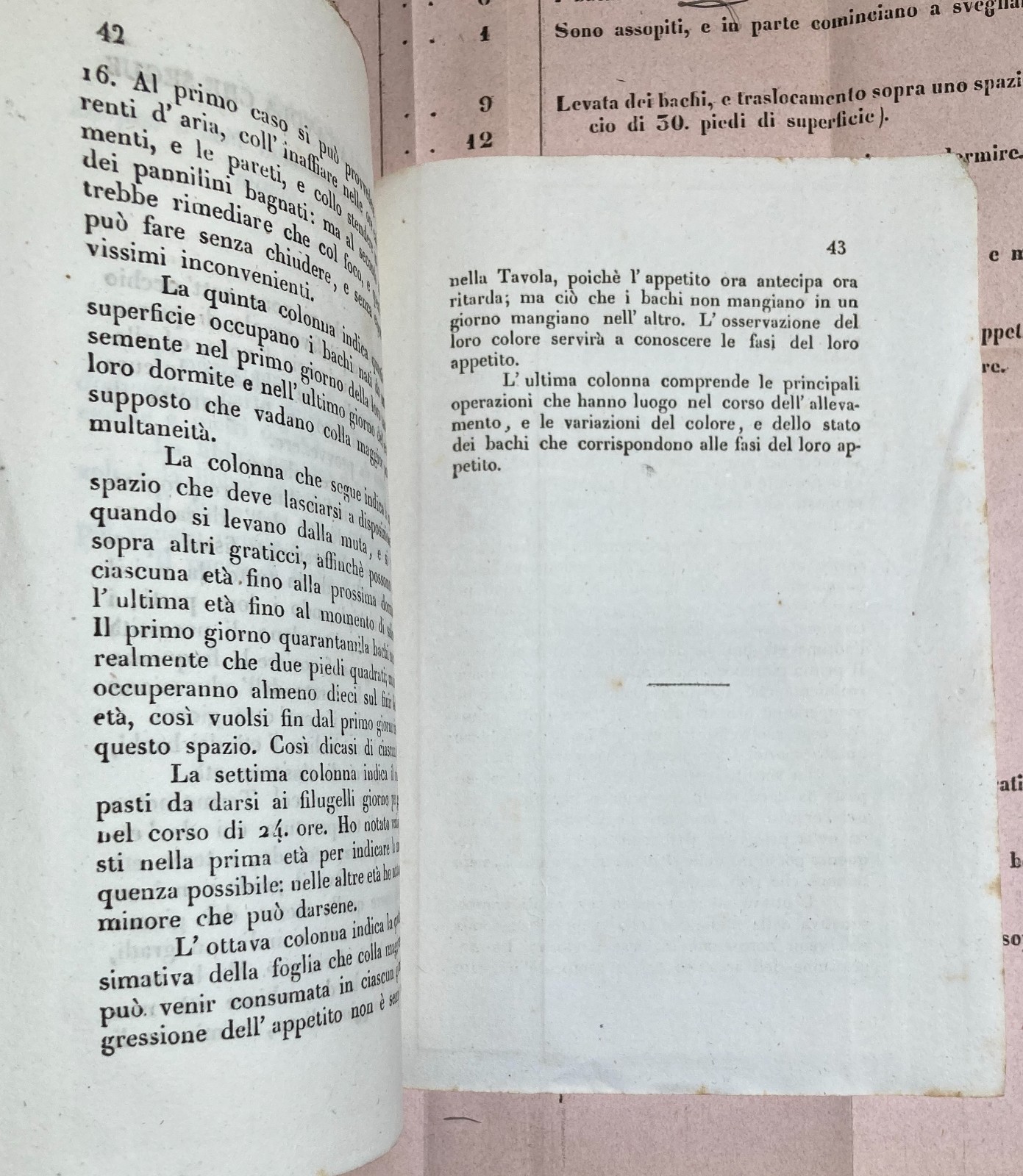 Bachi Da Seta, Allevamento, San Vito, Ramuscello, Freschi. Antica Edizione, 1840, Rara