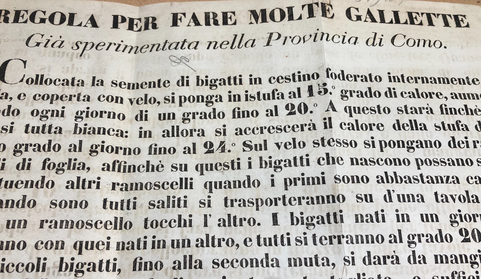 Bachi Da Seta, Gallette, Bigatti, Como: Antico Manifesto, Tipografia Tamburini, '800