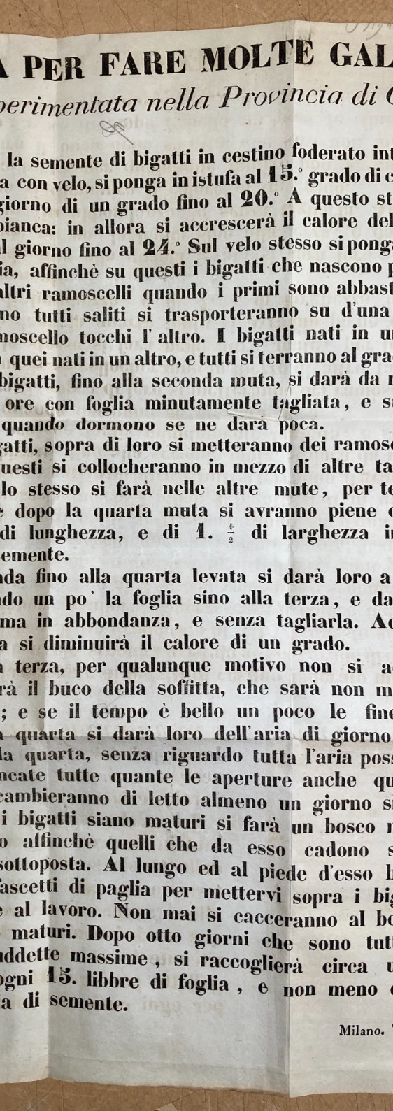 Bachi Da Seta, Gallette, Bigatti, Como: Antico Manifesto, Tipografia Tamburini, '800