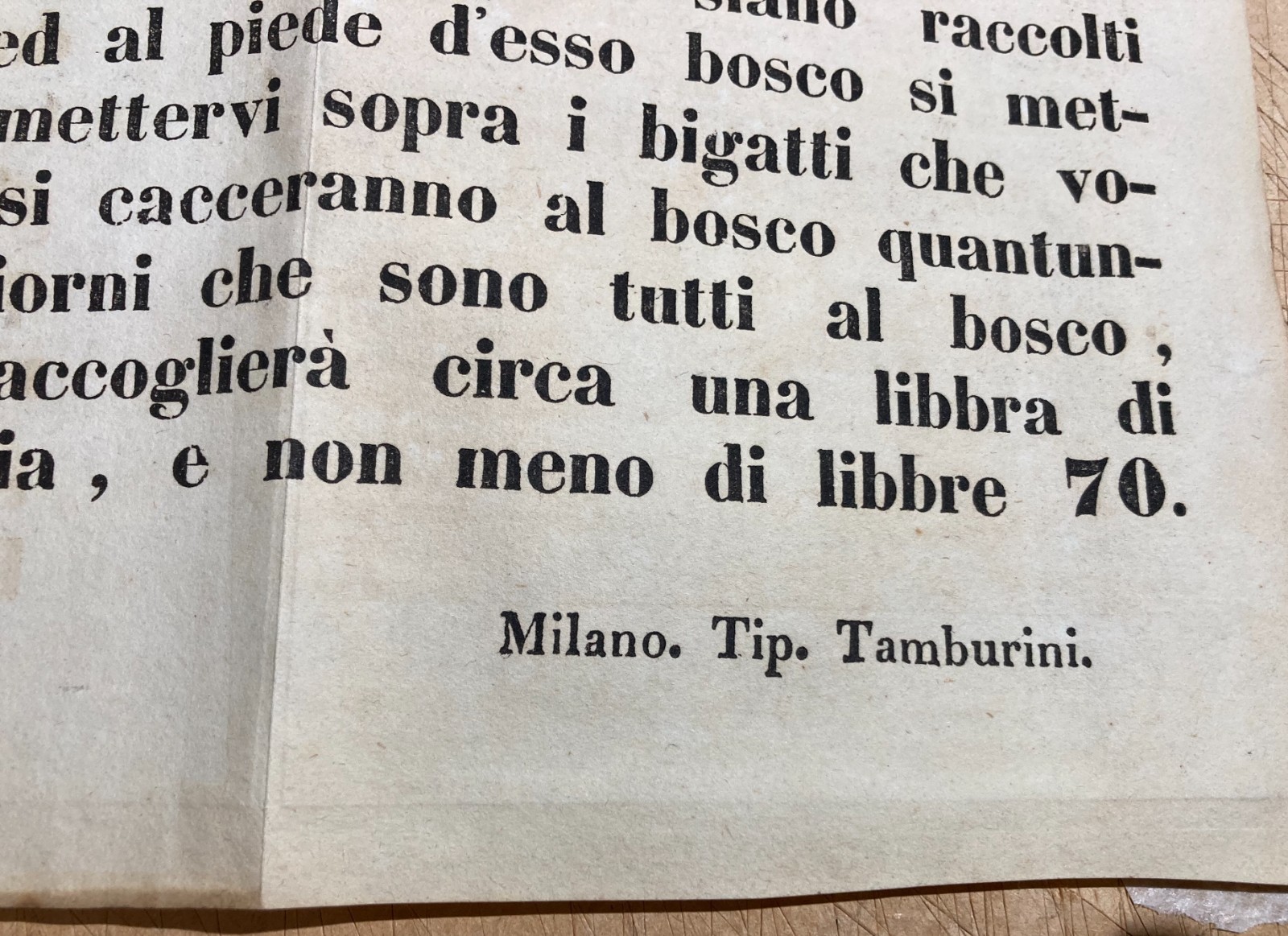 Bachi Da Seta, Gallette, Bigatti, Como: Antico Manifesto, Tipografia Tamburini, '800