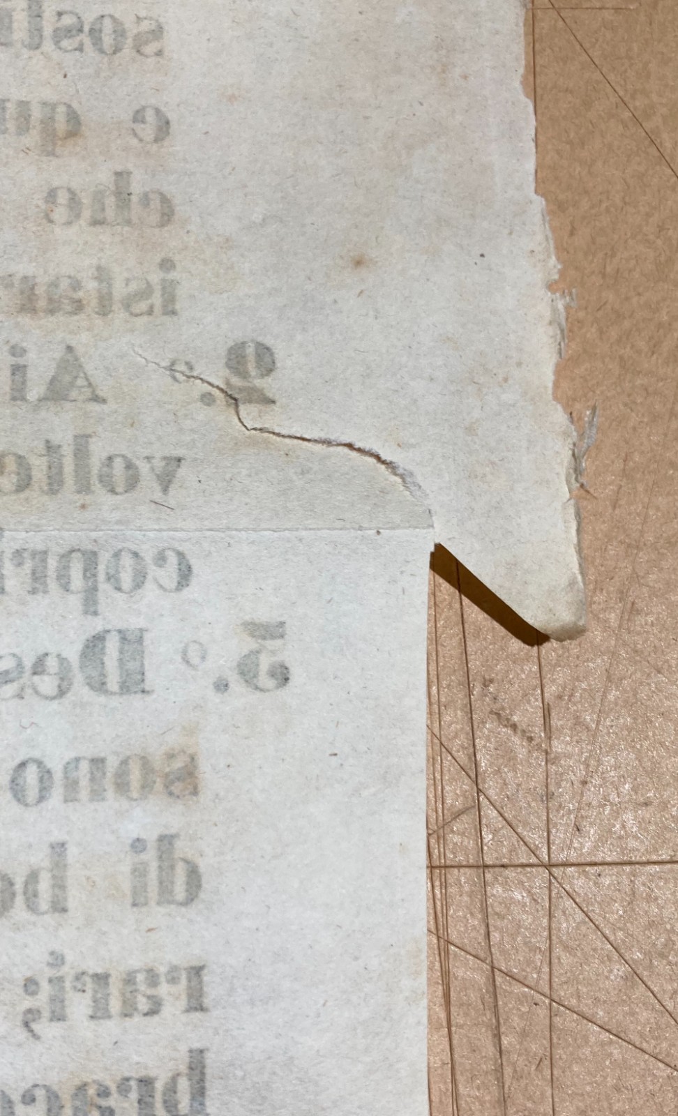 Bachi Da Seta, Gallette, Bigatti, Como: Antico Manifesto, Tipografia Tamburini, '800
