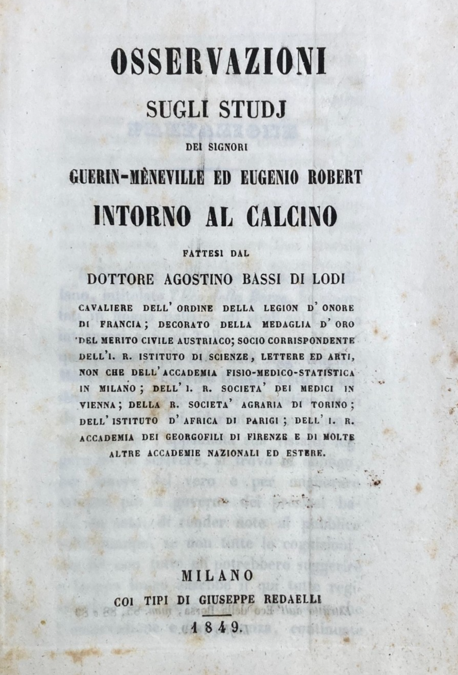 Bachi Da Seta, Calcino, Lodi, Agostino Bassi, Guerin Meneville, Robert, 1849
