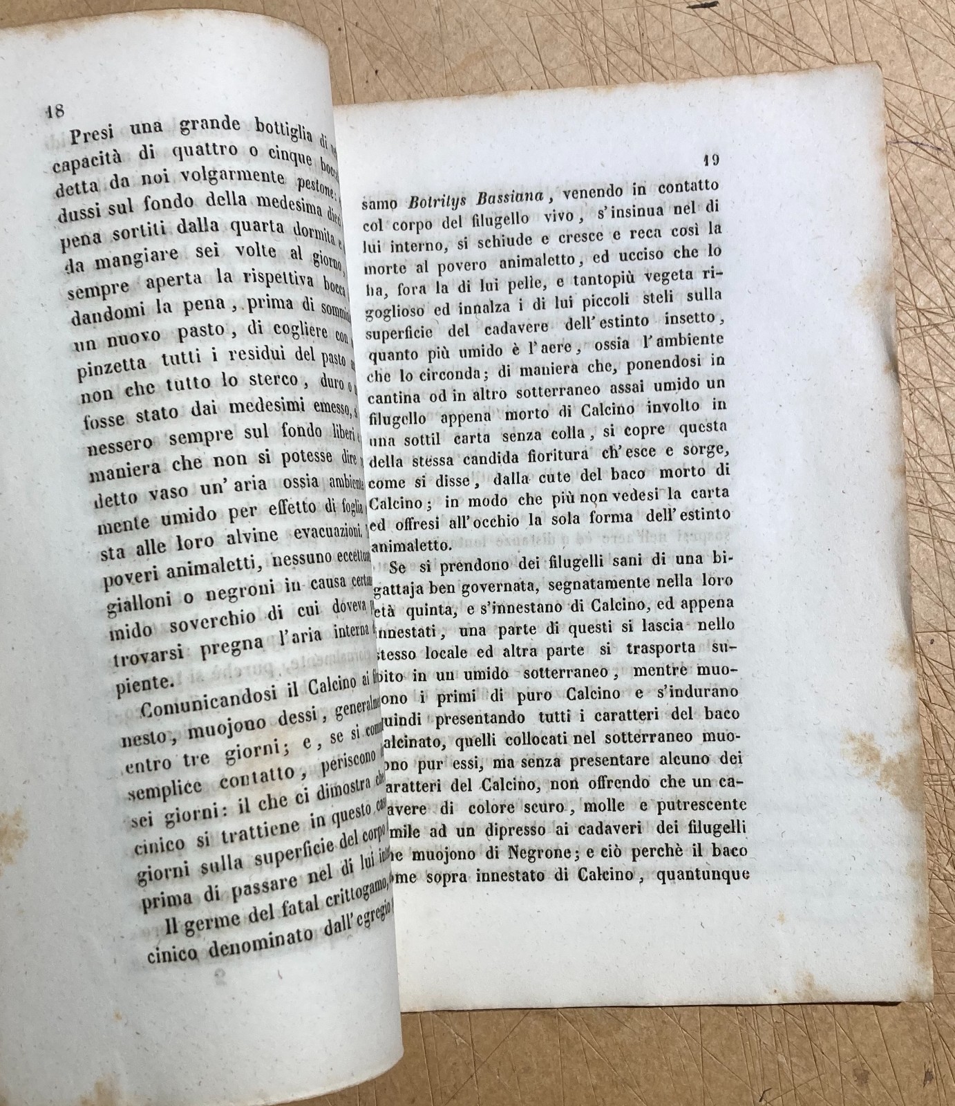 Bachi Da Seta, Calcino, Lodi, Agostino Bassi, Guerin Meneville, Robert, 1849
