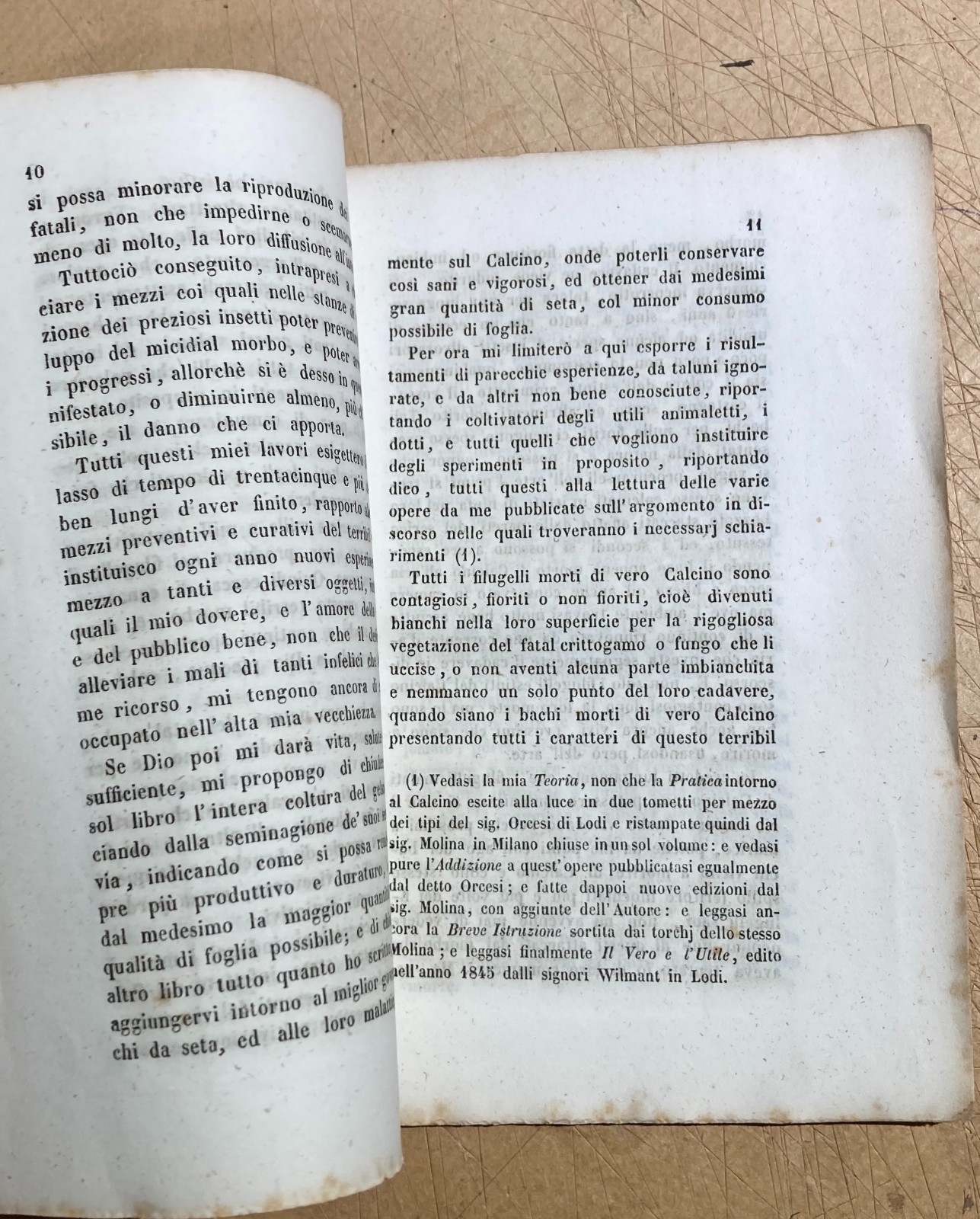 Bachi Da Seta, Calcino, Lodi, Agostino Bassi, Guerin Meneville, Robert, 1849