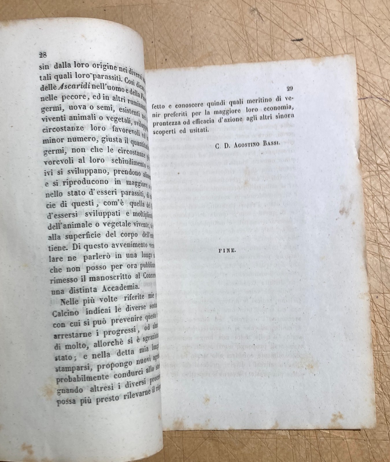 Bachi Da Seta, Calcino, Lodi, Agostino Bassi, Guerin Meneville, Robert, 1849
