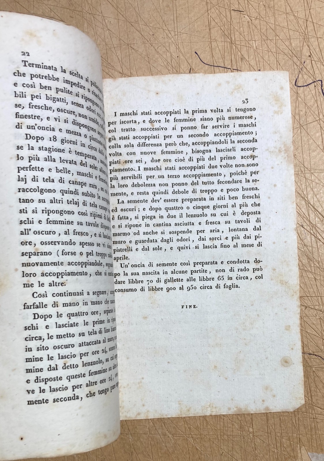 Bachi Da Seta   Natale Valagussa   Il Bigattiere Di Brianza   Edizione Antica   Monza   1835