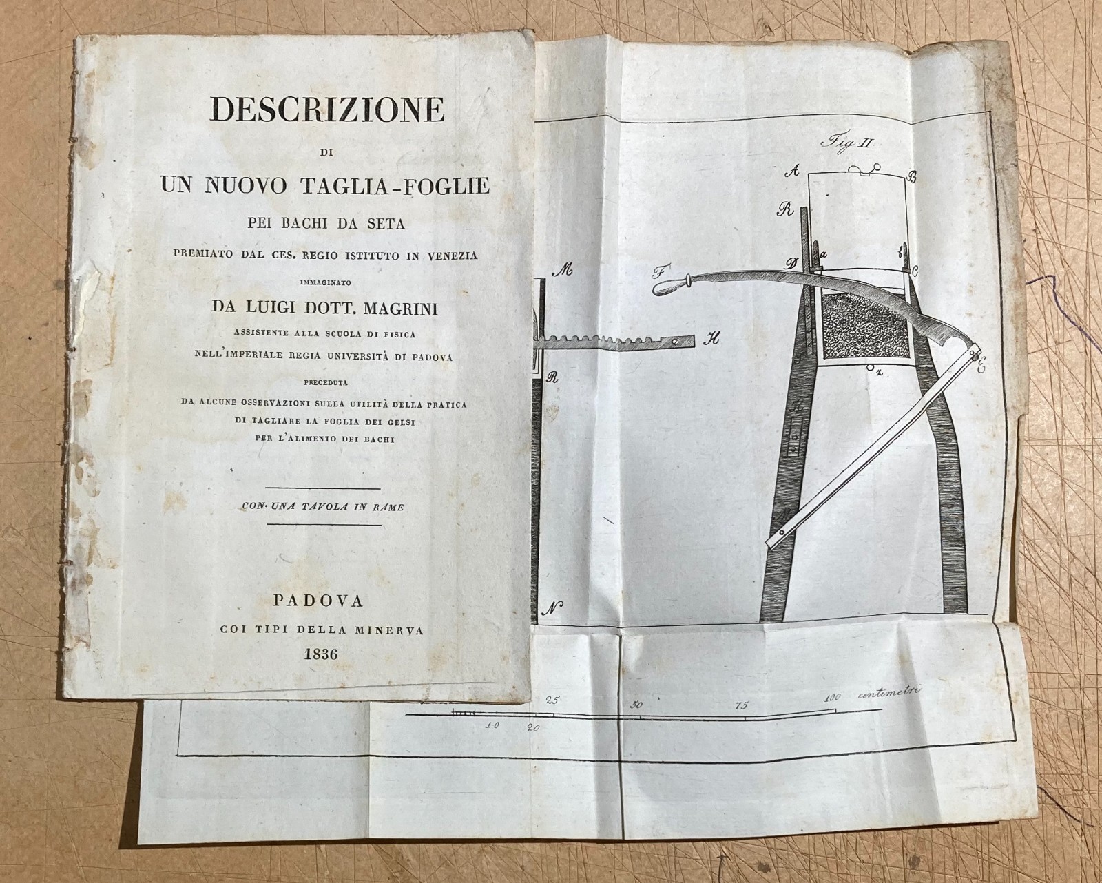 Bachi Da Seta, Magrini: Antica Invenzione Taglia Foglie Dei Gelsi, Padova, 1836   Raro