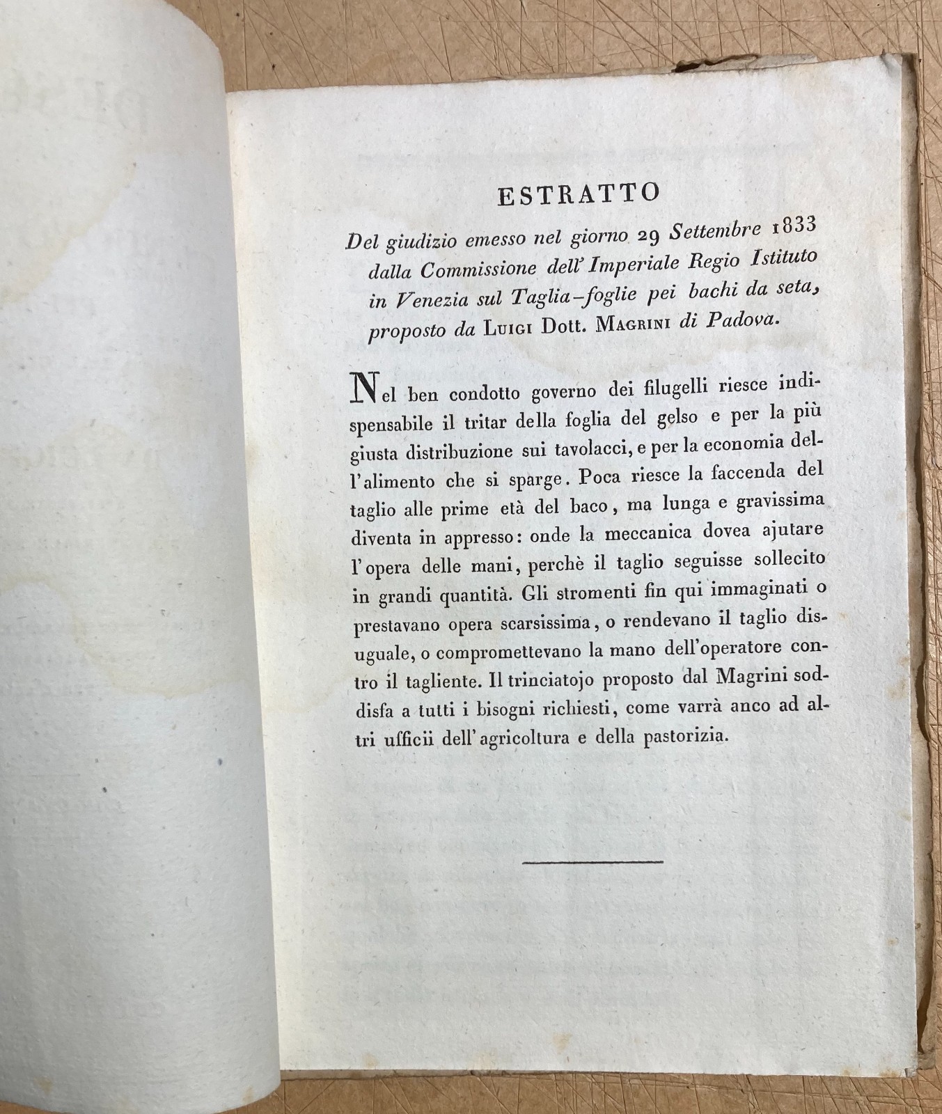 Bachi Da Seta, Magrini: Antica Invenzione Taglia Foglie Dei Gelsi, Padova, 1836   Raro