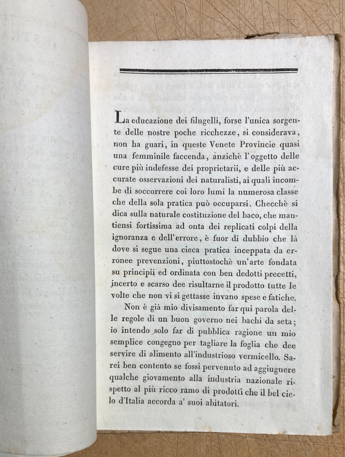 Bachi Da Seta, Magrini: Antica Invenzione Taglia Foglie Dei Gelsi, Padova, 1836   Raro