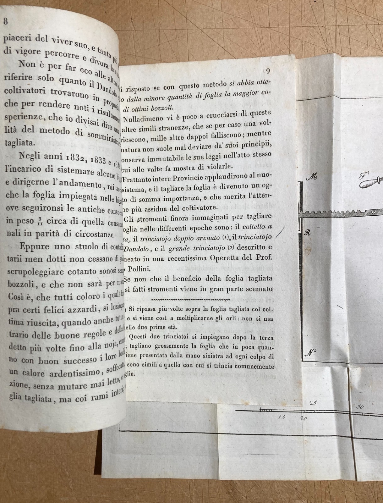 Bachi Da Seta, Magrini: Antica Invenzione Taglia Foglie Dei Gelsi, Padova, 1836   Raro