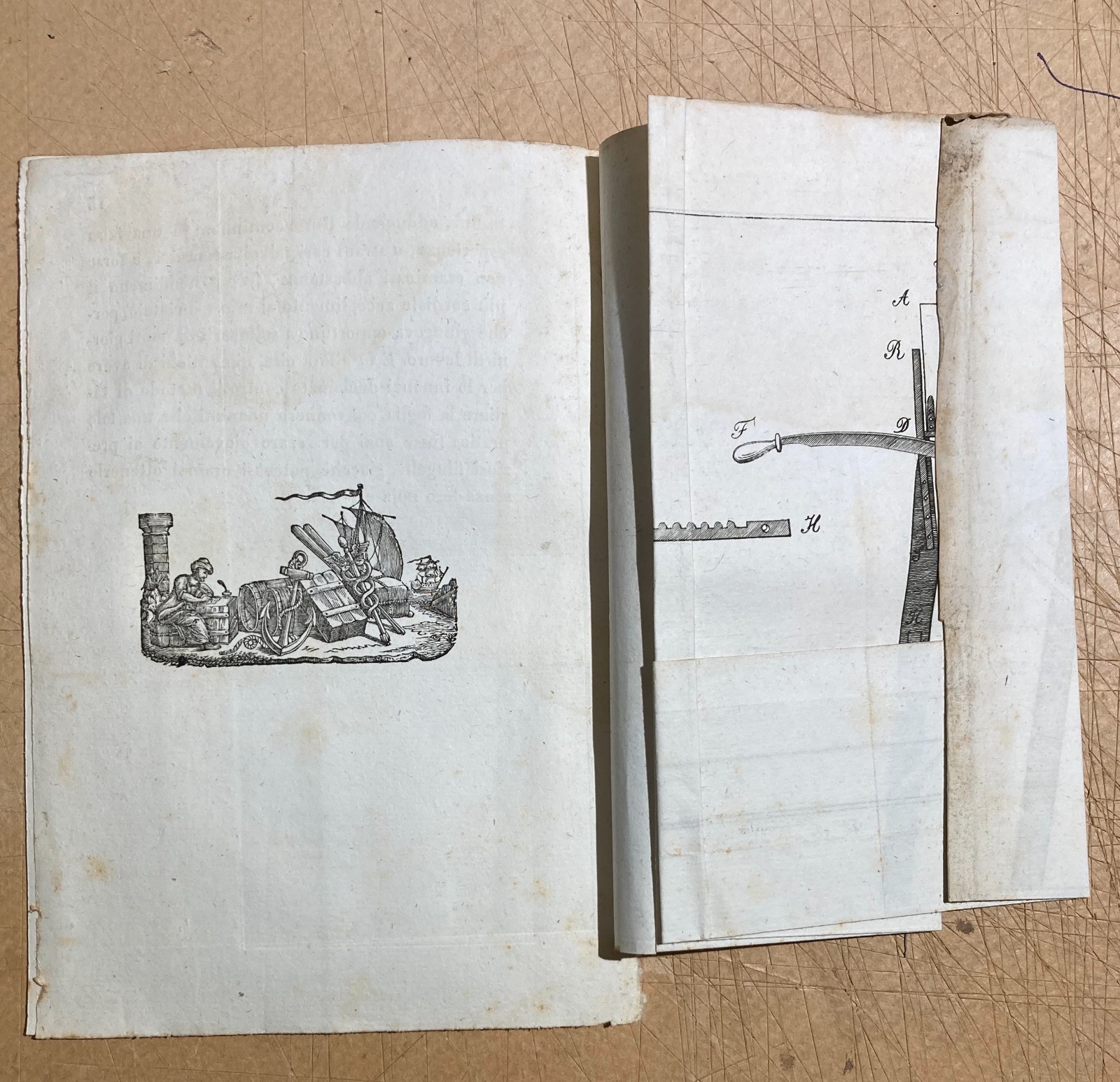 Bachi Da Seta, Magrini: Antica Invenzione Taglia Foglie Dei Gelsi, Padova, 1836   Raro