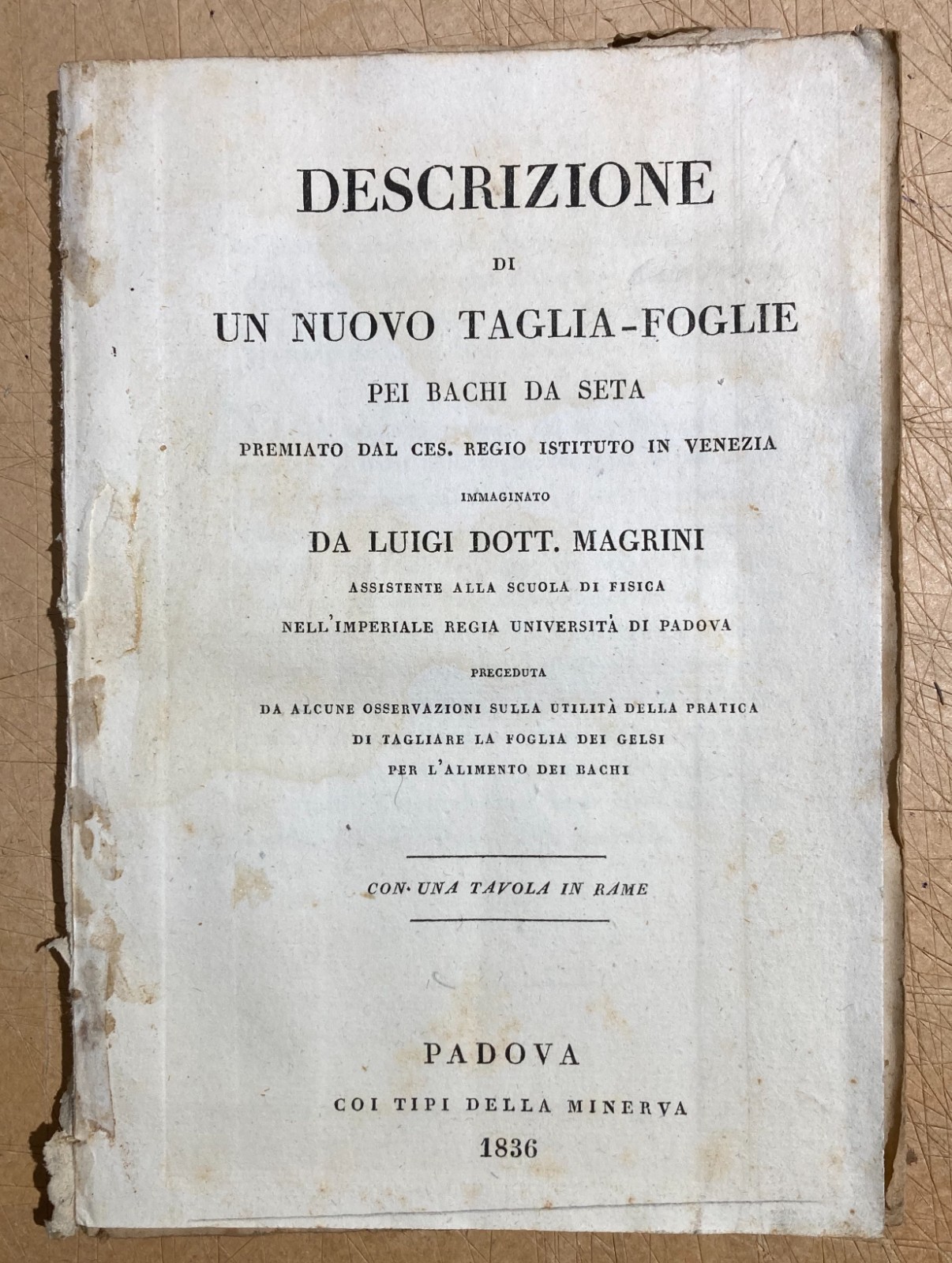 Bachi Da Seta, Magrini: Antica Invenzione Taglia Foglie Dei Gelsi, Padova, 1836   Raro