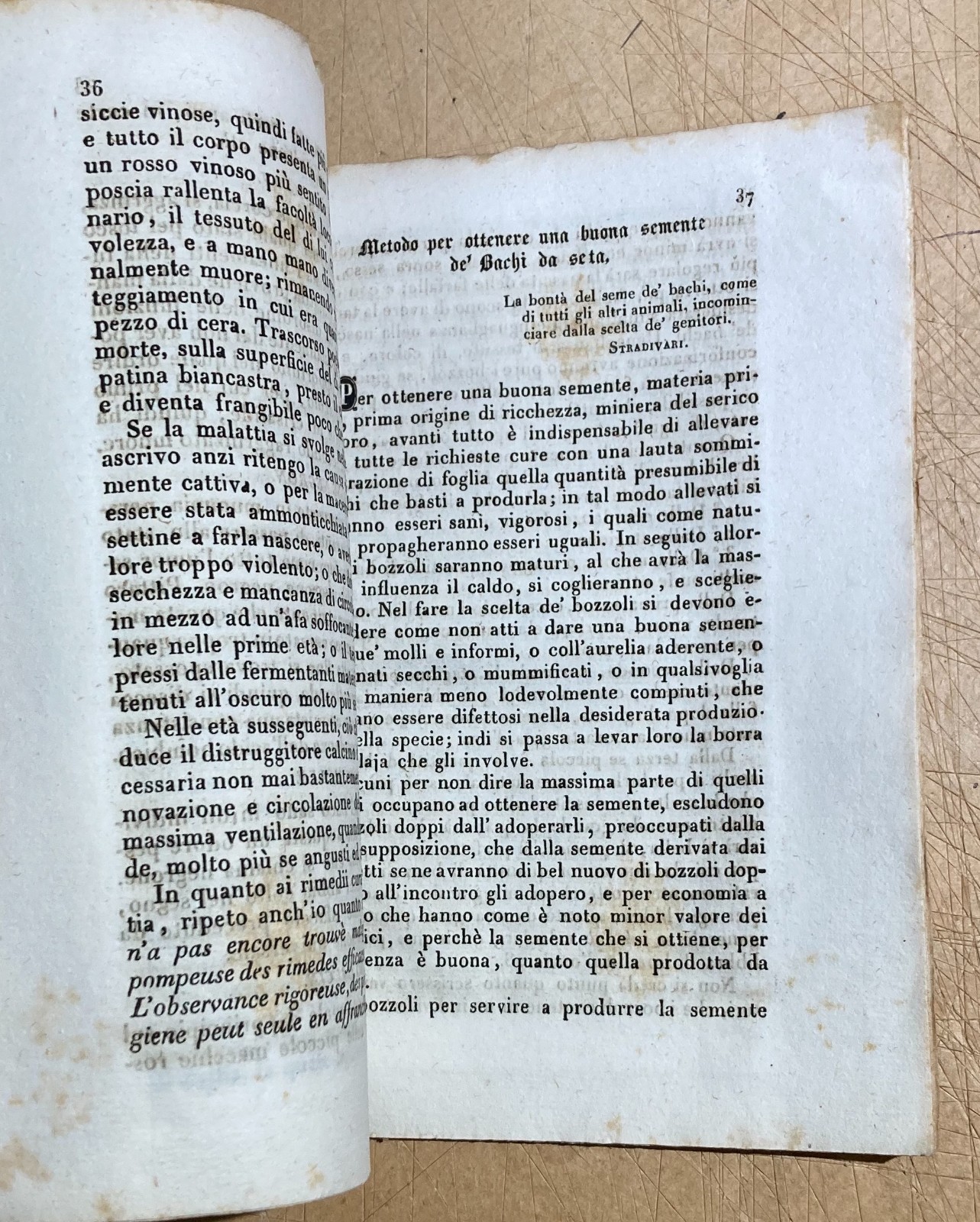 Allevamento Dei Bachi Da Seta. Edizione Di Balsamo Crivelli, Milano, 1850