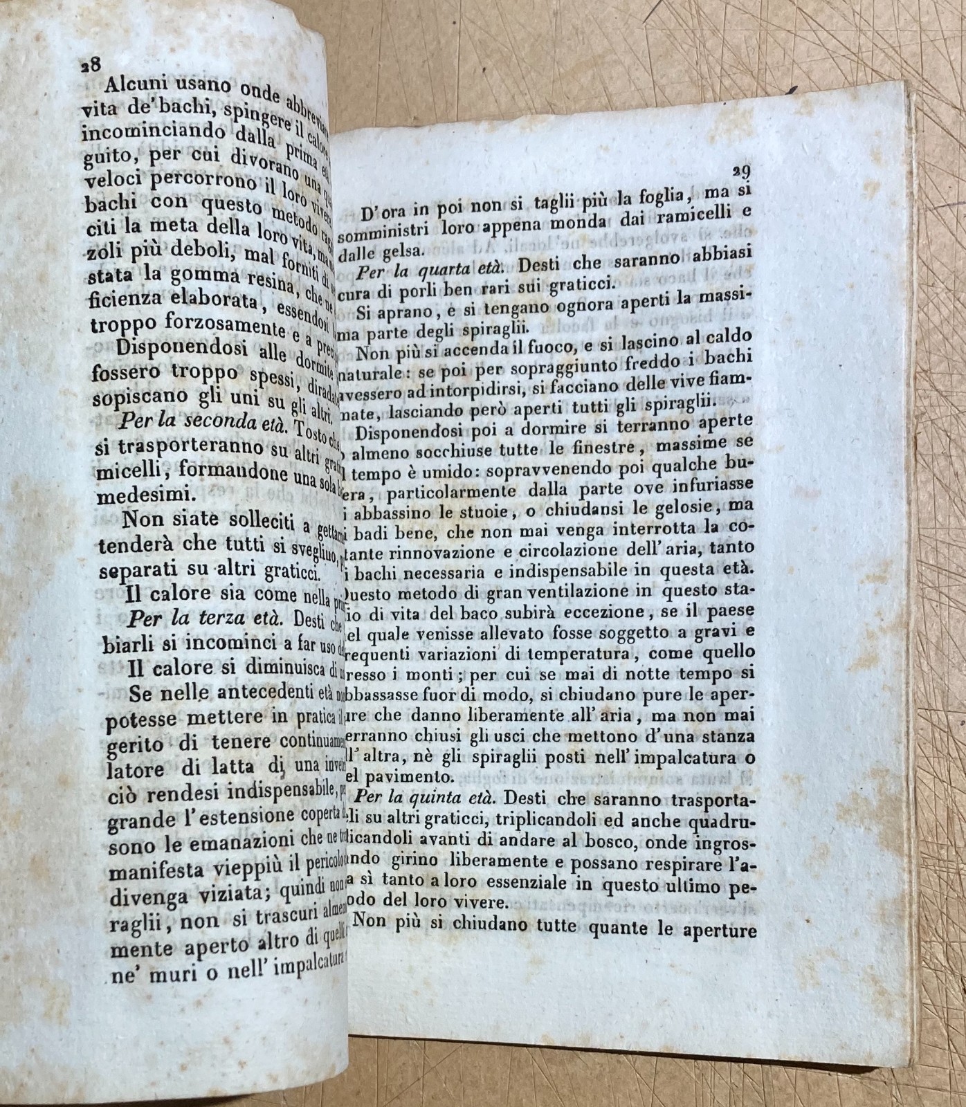 Allevamento Dei Bachi Da Seta. Edizione Di Balsamo Crivelli, Milano, 1850
