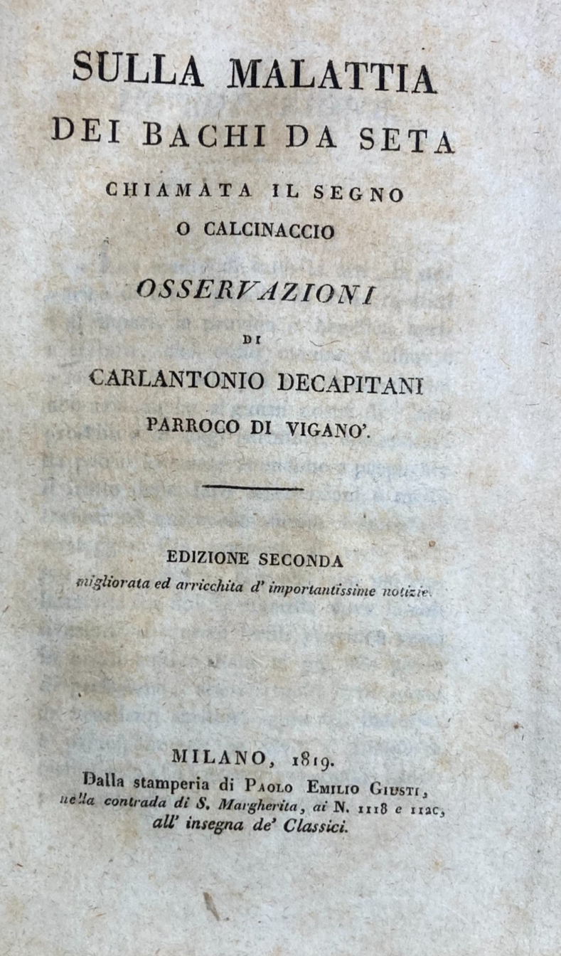 Bachi Da Seta: Allevamento, Malattie, Calcinaccio. Lombardia, Brianza, Viganò, 1819