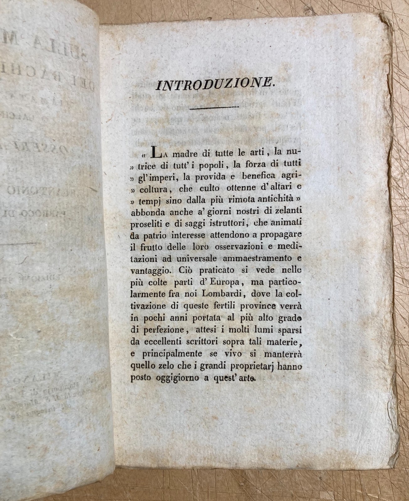 Bachi Da Seta: Allevamento, Malattie, Calcinaccio. Lombardia, Brianza, Viganò, 1819