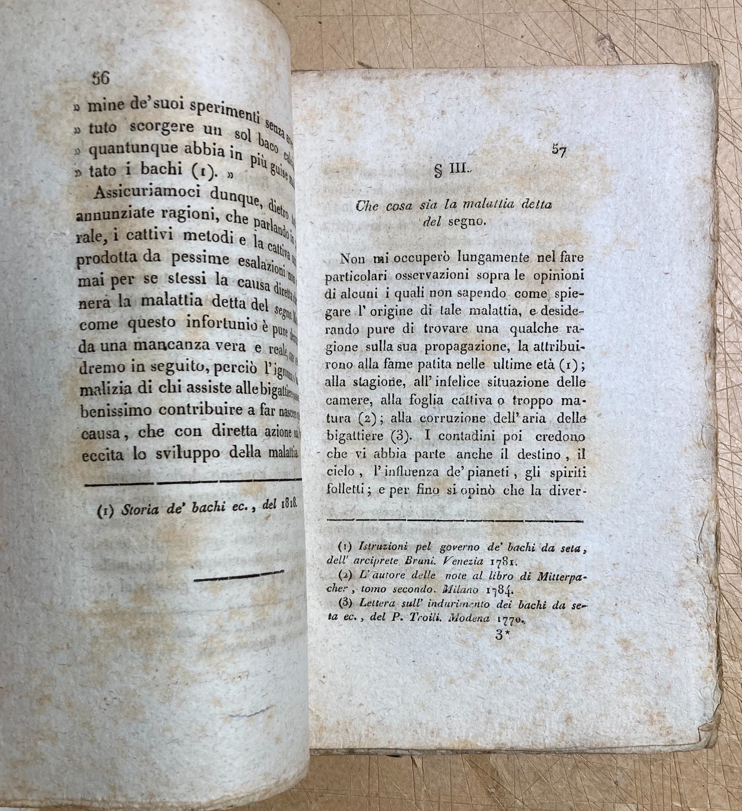 Bachi Da Seta: Allevamento, Malattie, Calcinaccio. Lombardia, Brianza, Viganò, 1819
