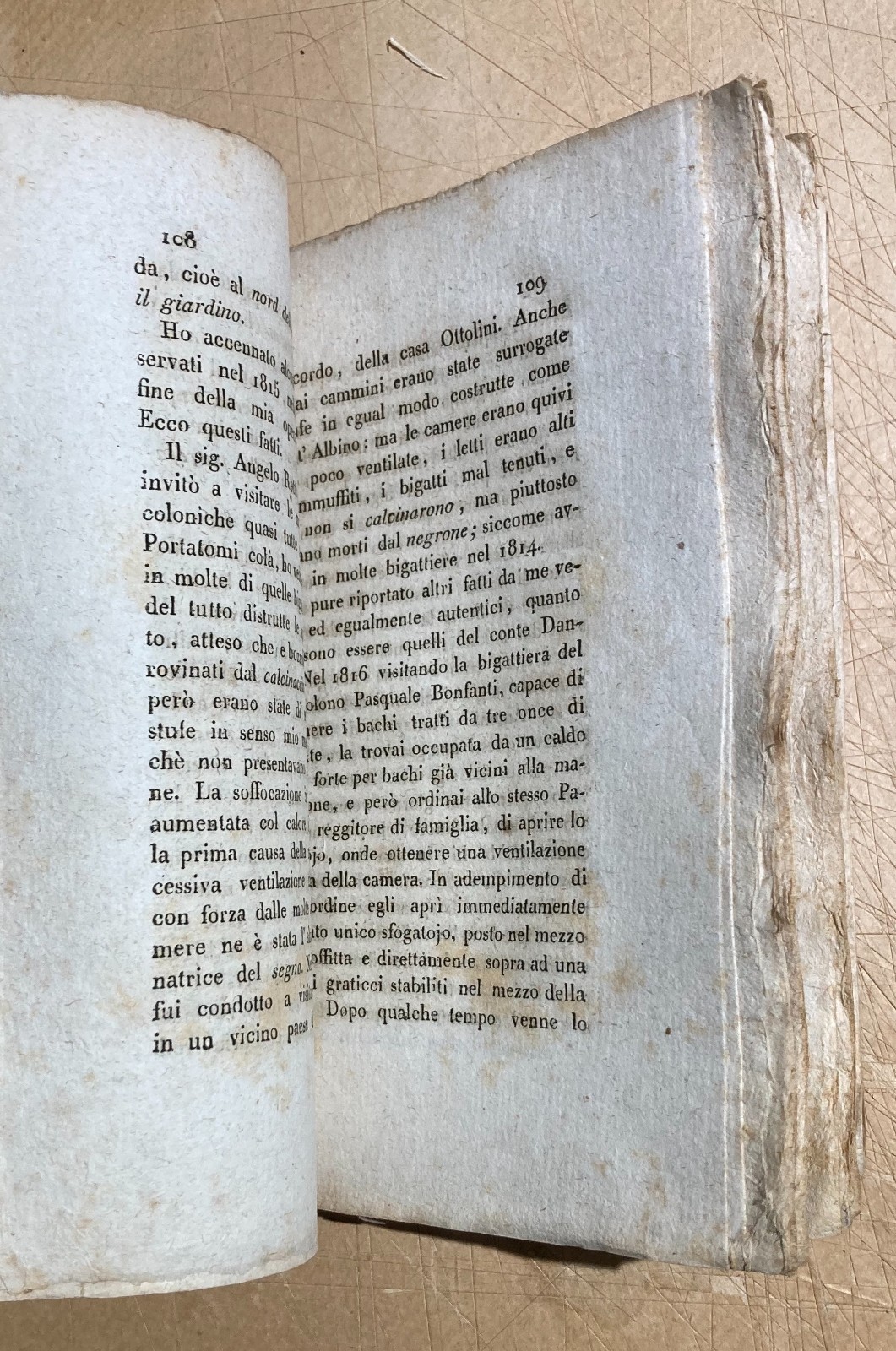 Bachi Da Seta: Allevamento, Malattie, Calcinaccio. Lombardia, Brianza, Viganò, 1819