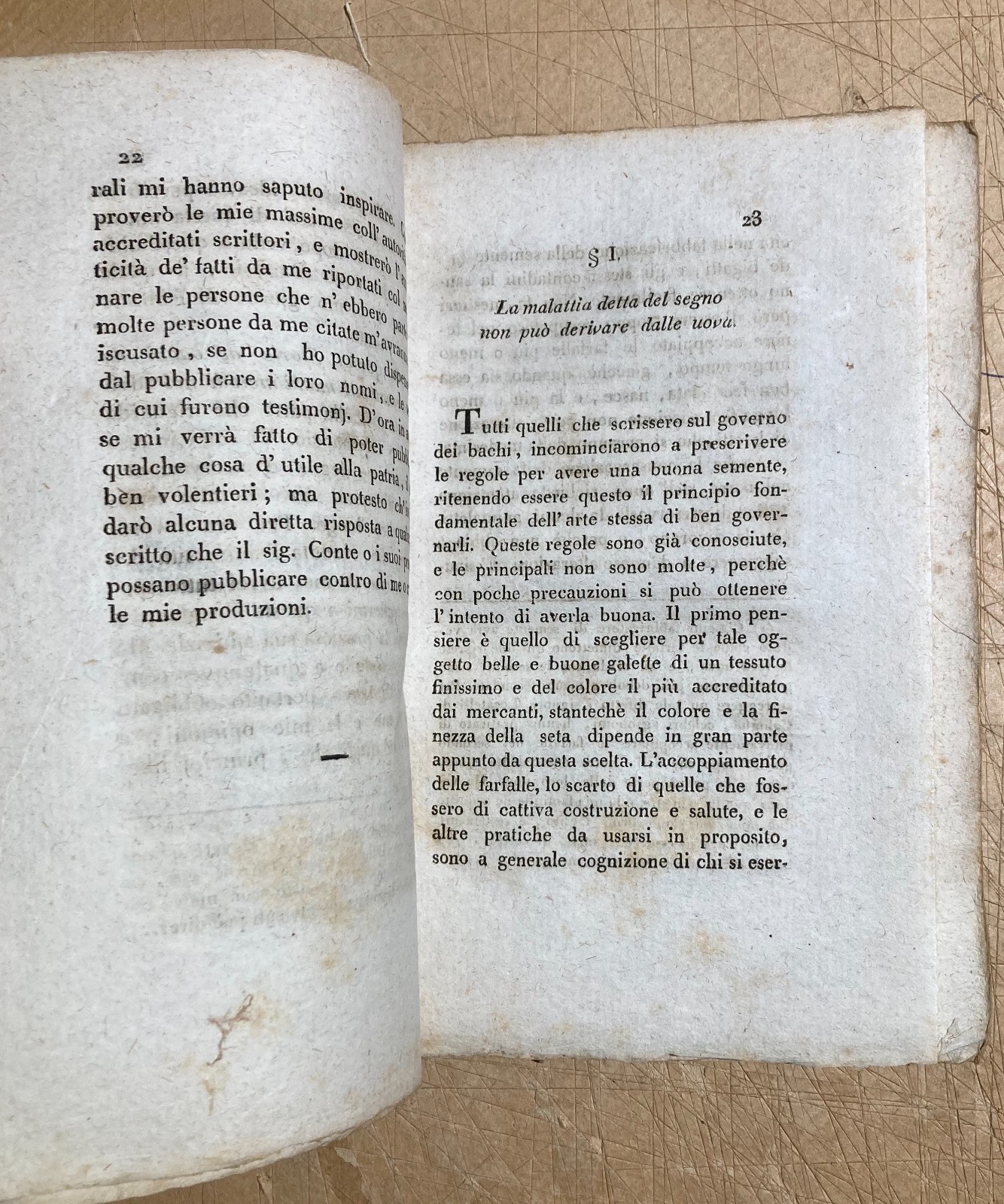 Bachi Da Seta: Allevamento, Malattie, Calcinaccio. Lombardia, Brianza, Viganò, 1819
