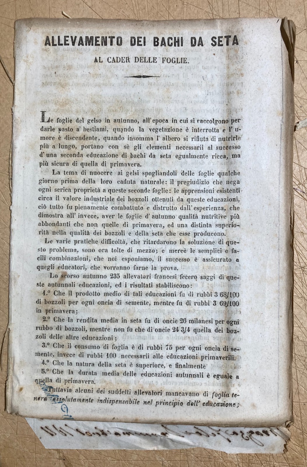 Bachi Da Seta: Allevamento Al Cader Delle Foglie. Gelsi. Edizione Di Metà '800, Bergamo
