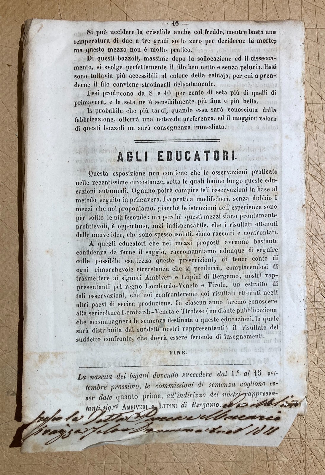 Bachi Da Seta: Allevamento Al Cader Delle Foglie. Gelsi. Edizione Di Metà '800, Bergamo