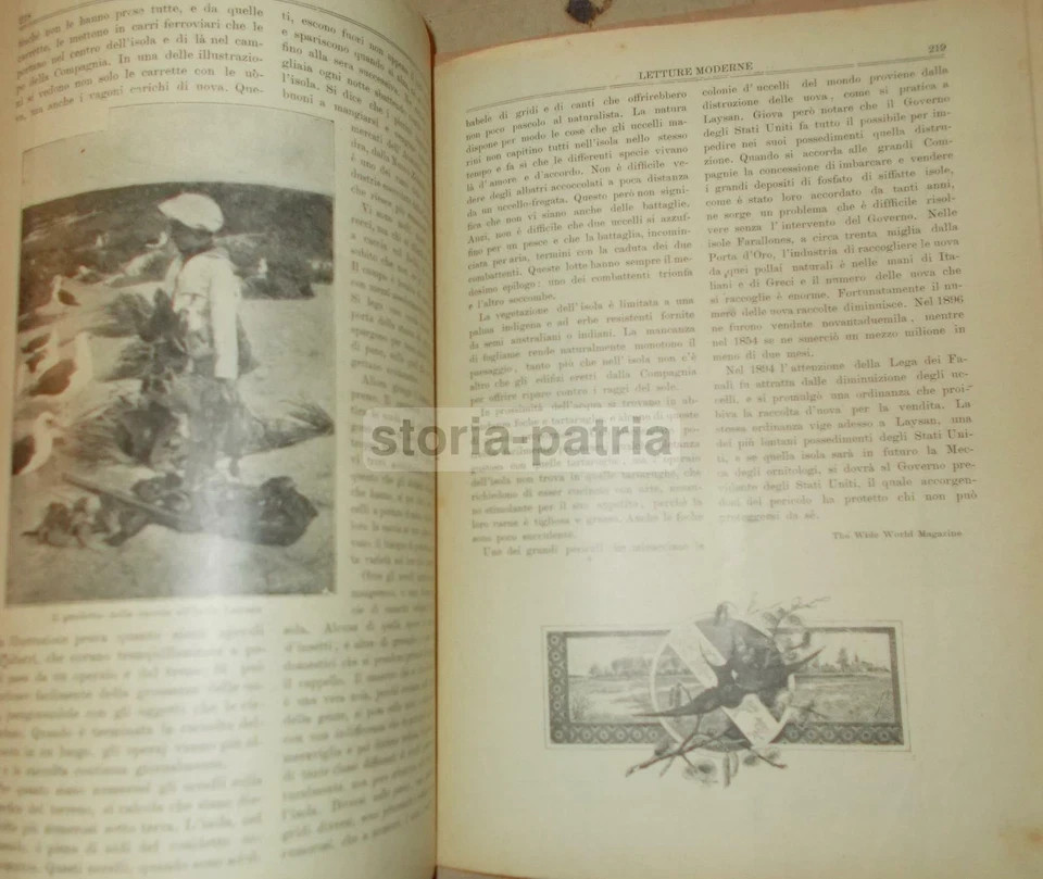 Sicilia: Rivista Culturale Siciliana. Bagheria, Pulci, Uccelli, Scienze, Moda, Giochi