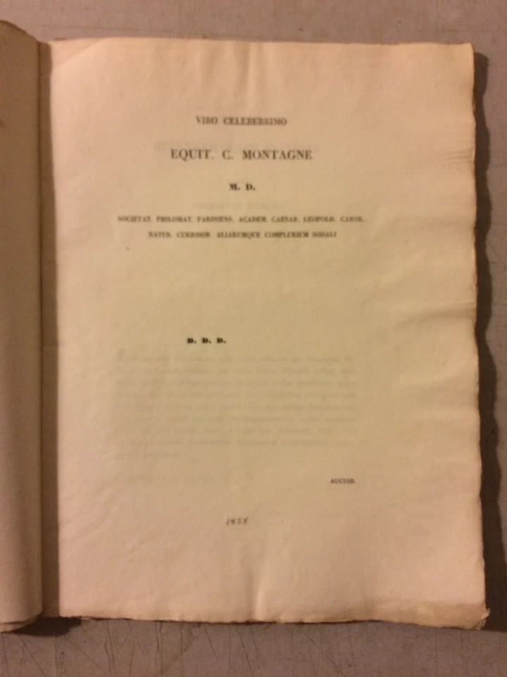 Giuseppe De Notaris, Primitiae Hepaticologiae Italicae, 1838