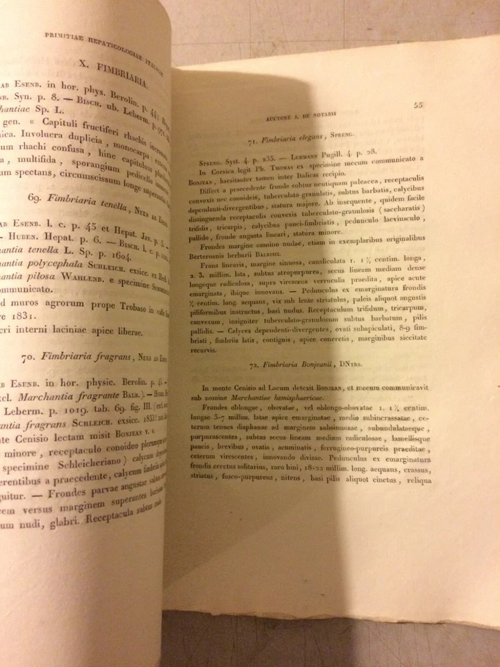 Giuseppe De Notaris, Primitiae Hepaticologiae Italicae, 1838