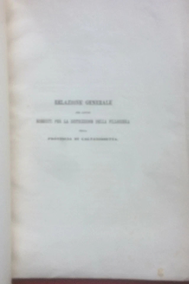 Relazione Sulla Distruzione Della Fillossera Nella Provincia Di Caltanissetta, 1882