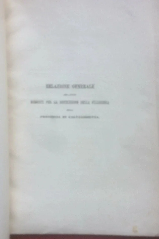 Report on the Destruction of Phylloxera in the Province of Caltanissetta, 1882