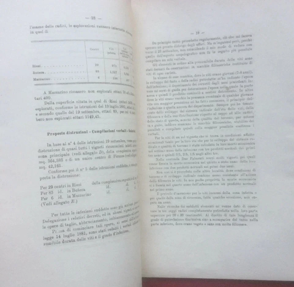 Report on the Destruction of Phylloxera in the Province of Caltanissetta, 1882