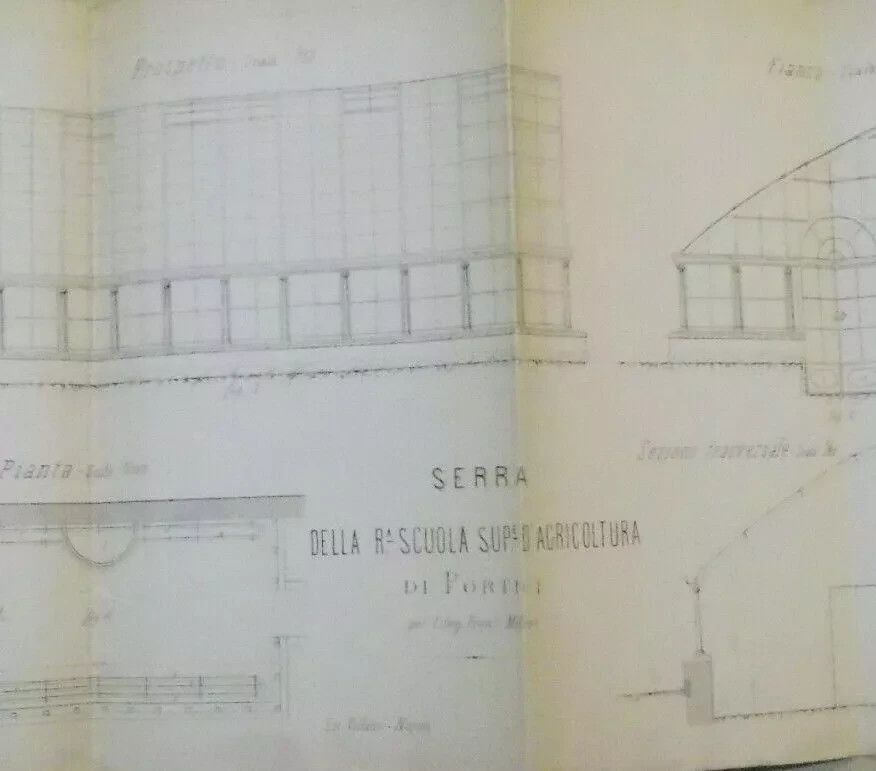 Storia Naturale: Botanica, Napoli, Serra Di Portici, Milone. Con Tavola Illustrativa