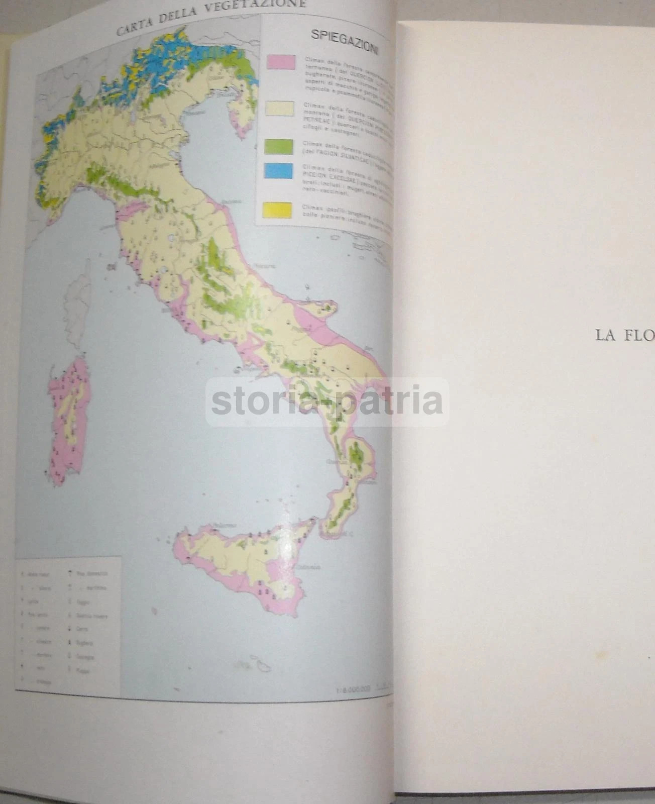 La Flora: Agraria, Piante, Botanica, Flora Italiana, Geologia, Alpi, Appennini, Pianura Padana