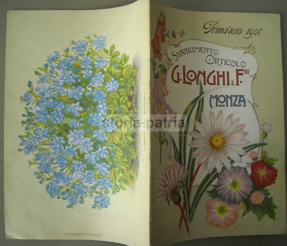 Agraria, Botanica, Piante, Fiori, Ortaggi: Catalogo Pubblicitario Illustrato Longhi