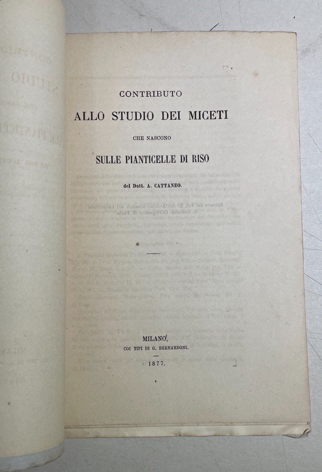 Agricoltura, Riso, Miceti, Funghi: Achille Cattaneo, Antica Edizione Con Due Litografie, 1877