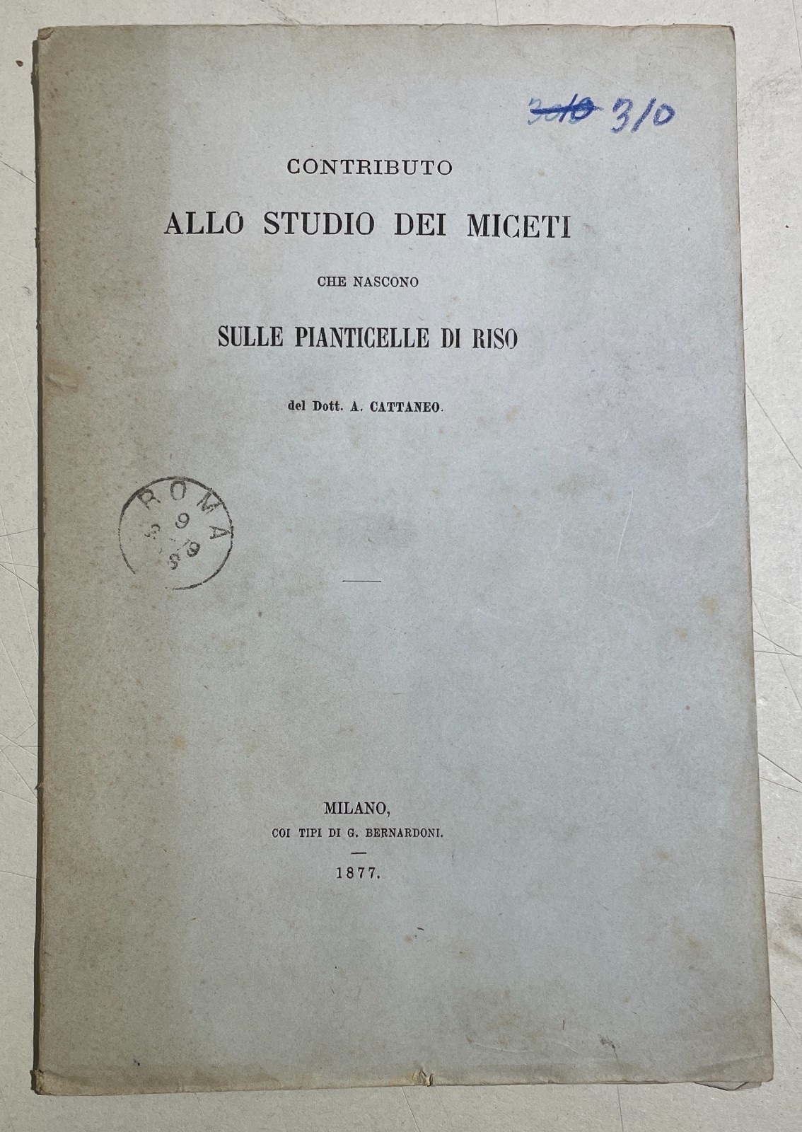 Agricoltura, Riso, Miceti, Funghi: Achille Cattaneo, Antica Edizione Con Due Litografie, 1877