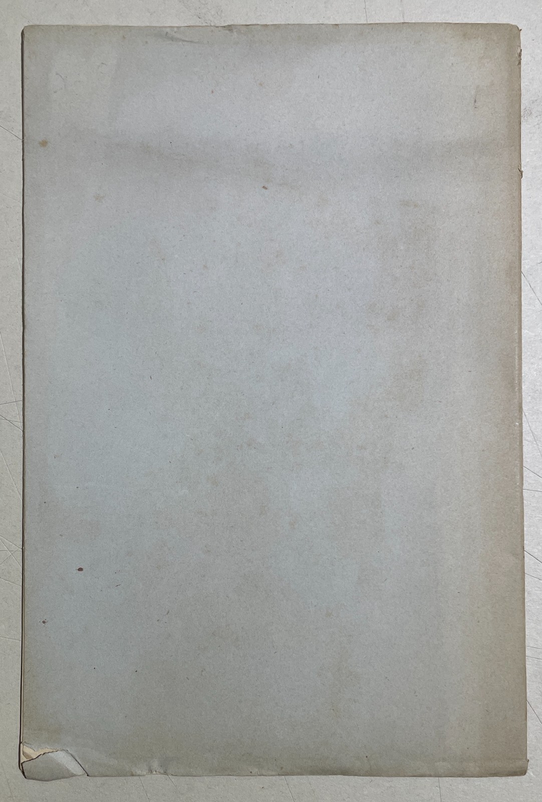 Agricoltura, Riso, Miceti, Funghi: Achille Cattaneo, Antica Edizione Con Due Litografie, 1877