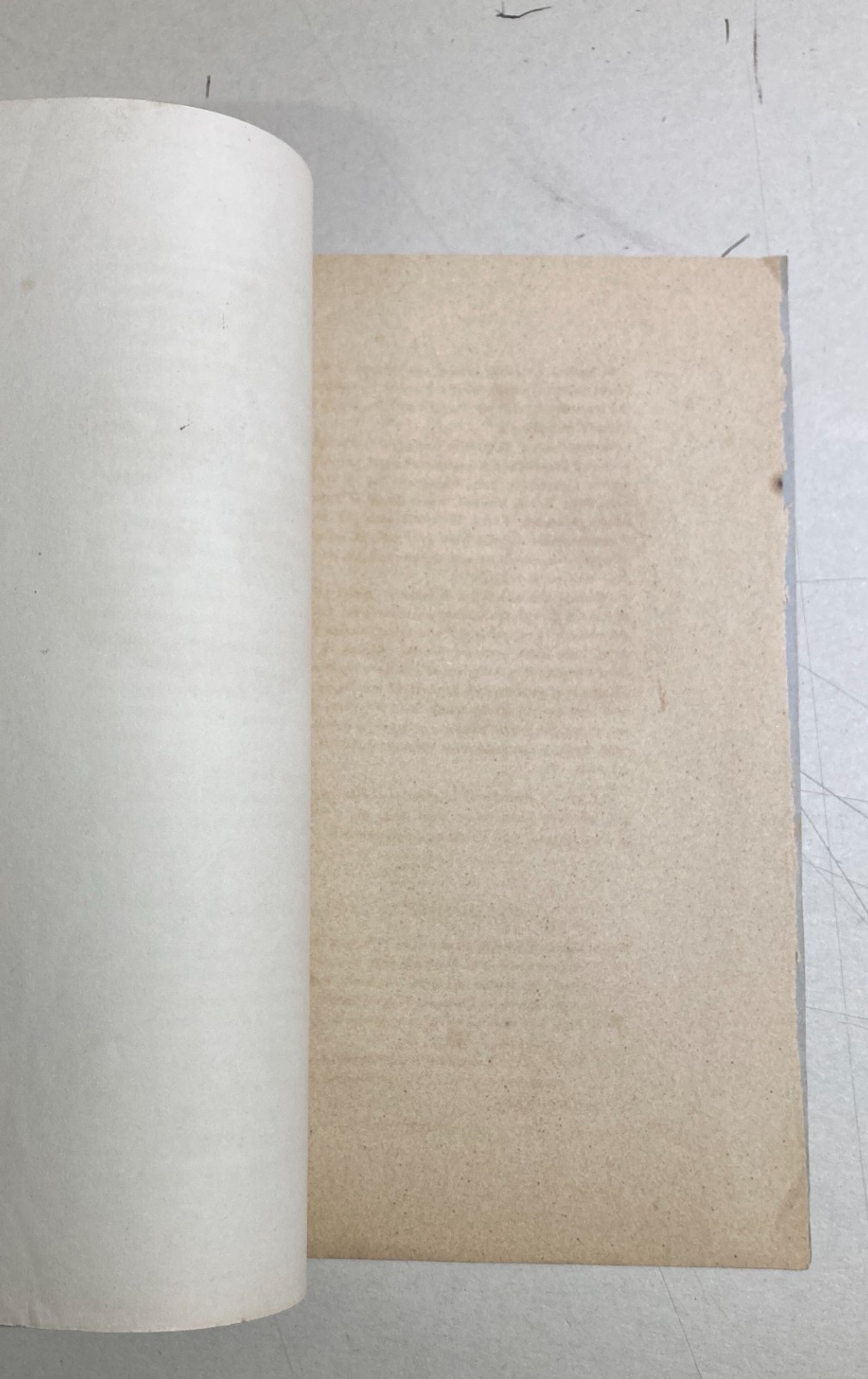 Agricoltura, Tabacco, Agrumi: Achille Cattaneo, La Nebbia Degli Esperidj, 1879